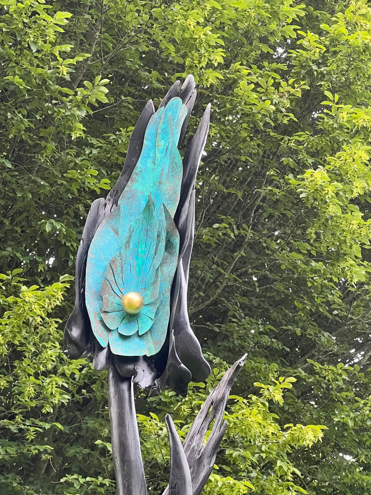 Brian O Loughlin, Forest to Sea