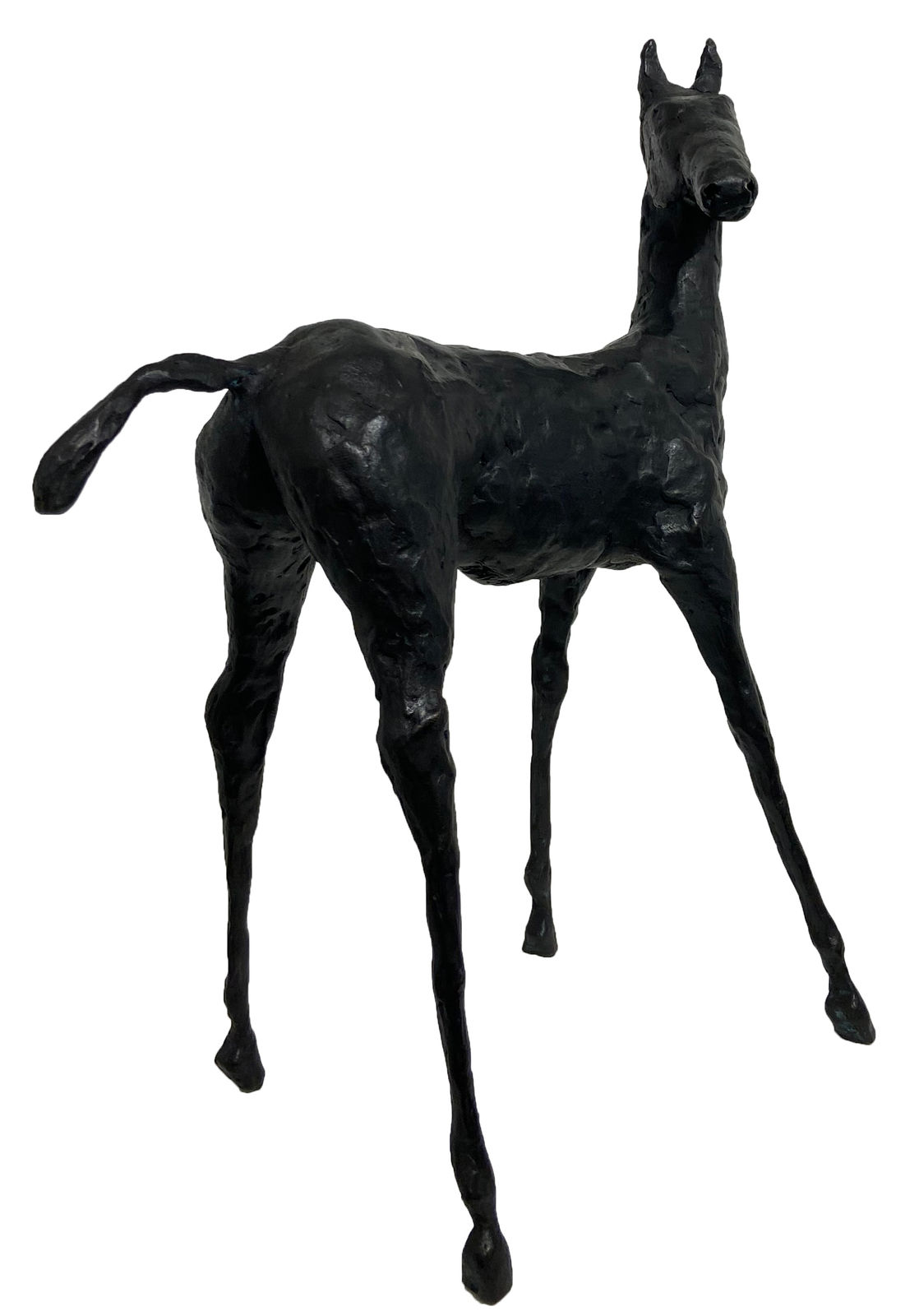 John Fitzgerald, The Seeker