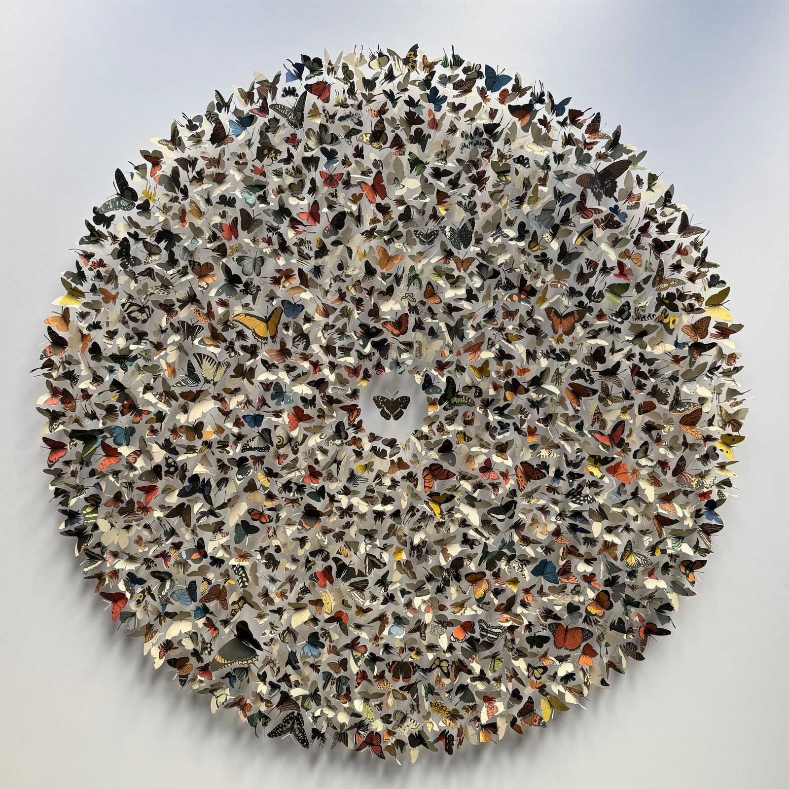 Rebecca J Coles, Icontype VI