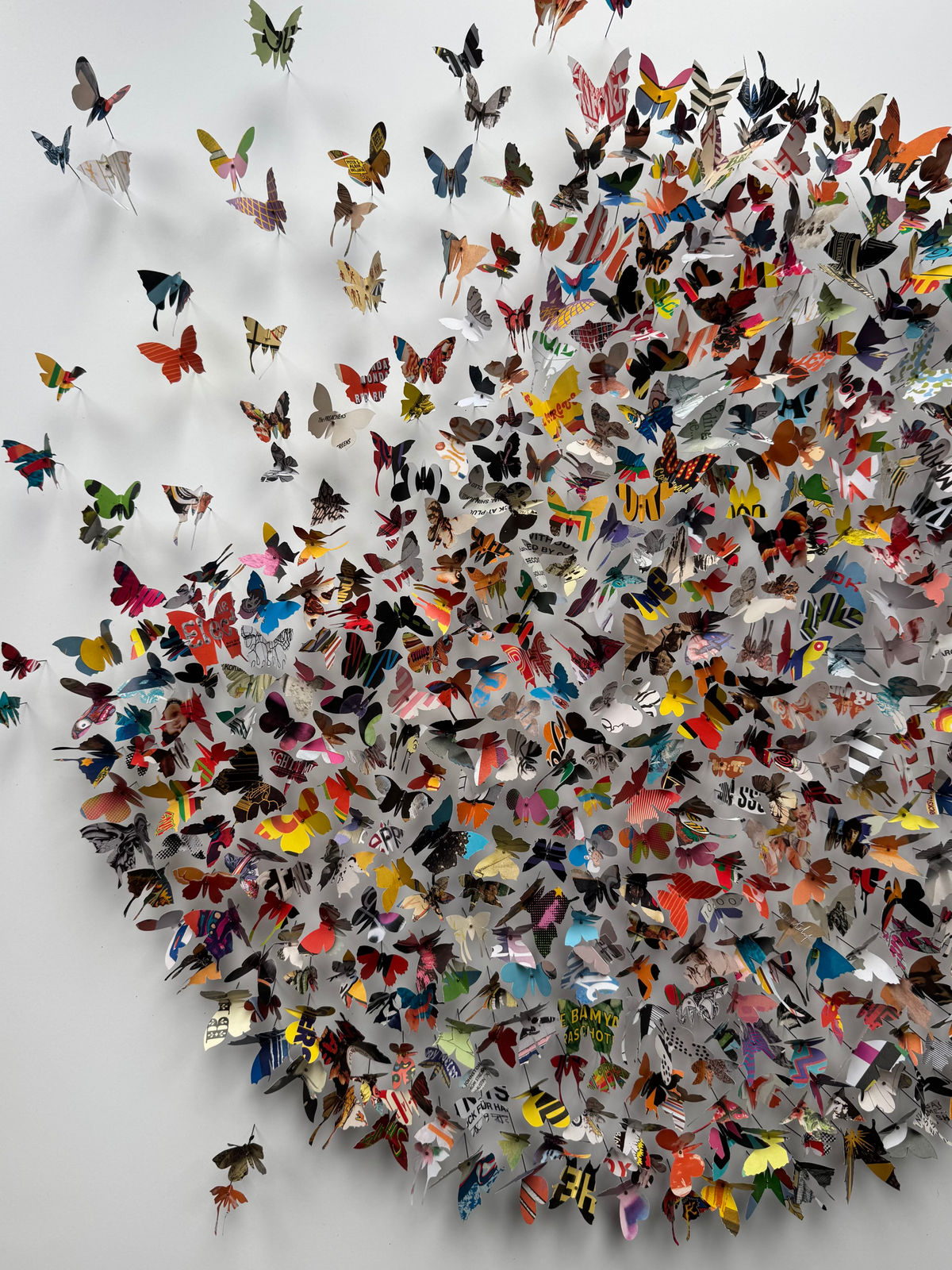 Rebecca J Coles, Albums XI