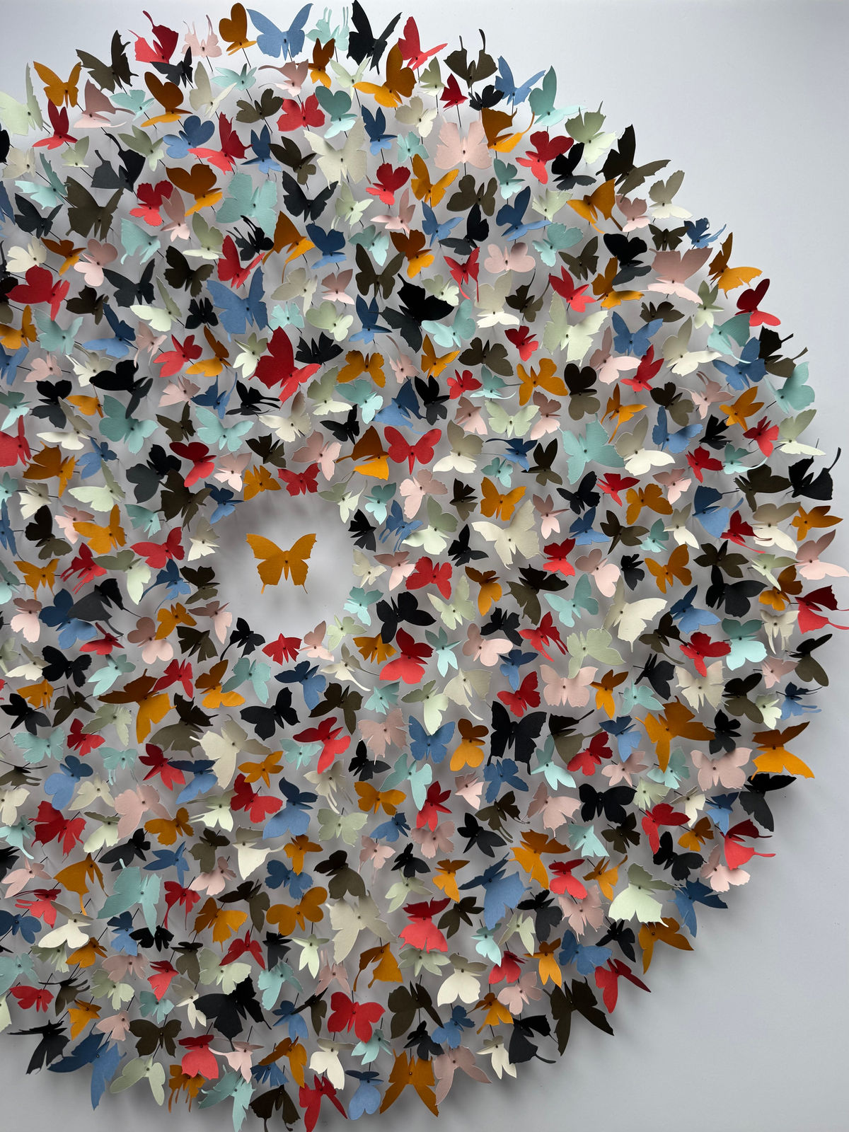 Rebecca J Coles, Colour Theory V