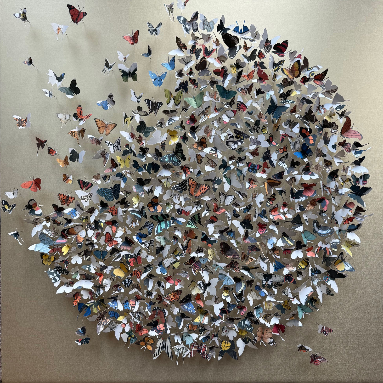 Rebecca J Coles, Icontype V