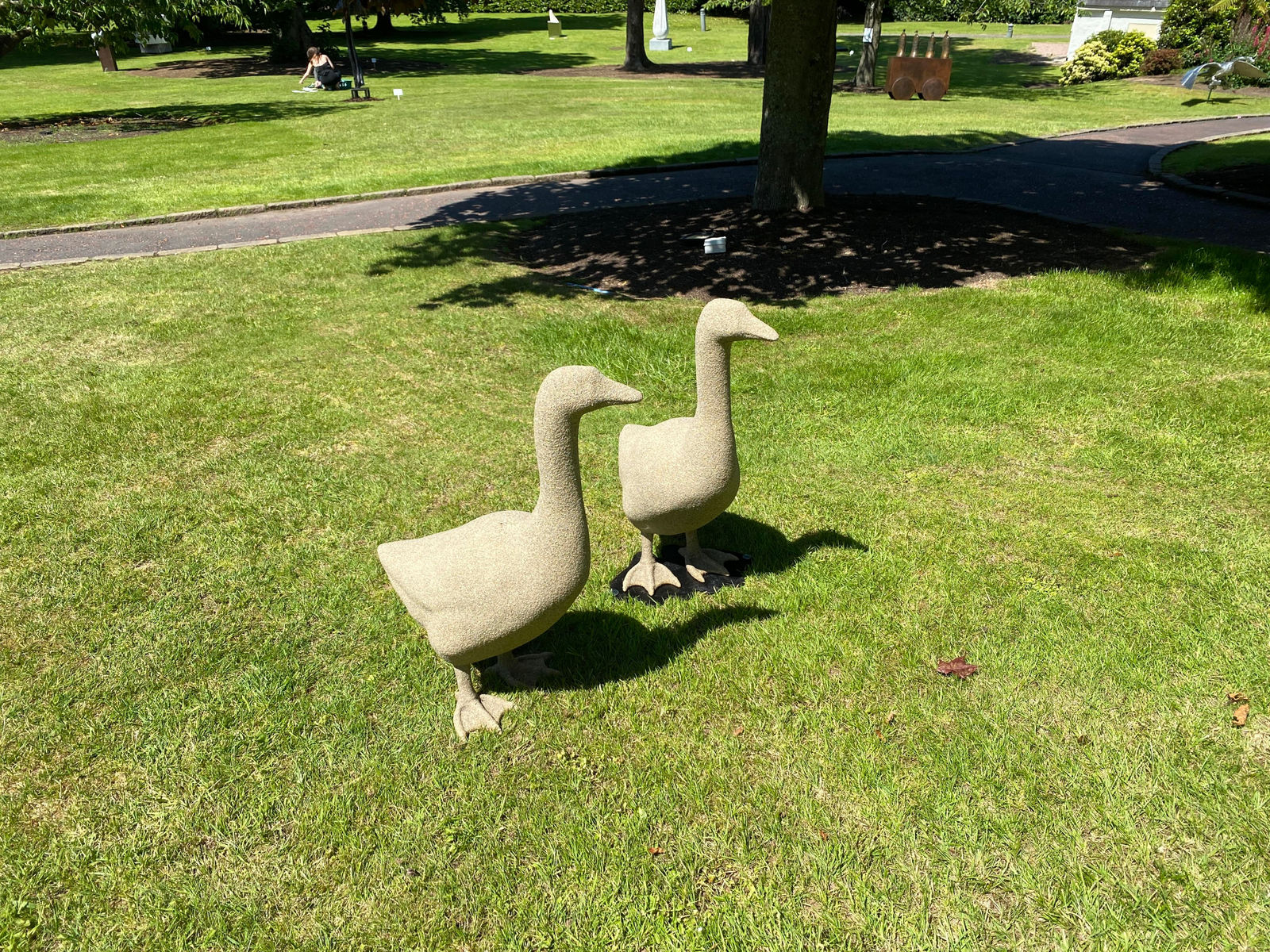 Peppe Perone, Oca (Goose)