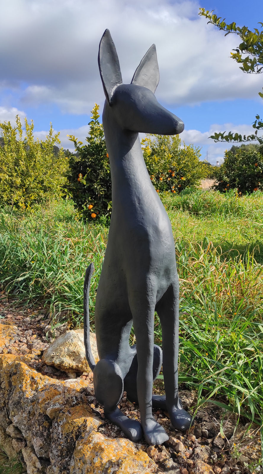 Christopher Stone, Lost Dog