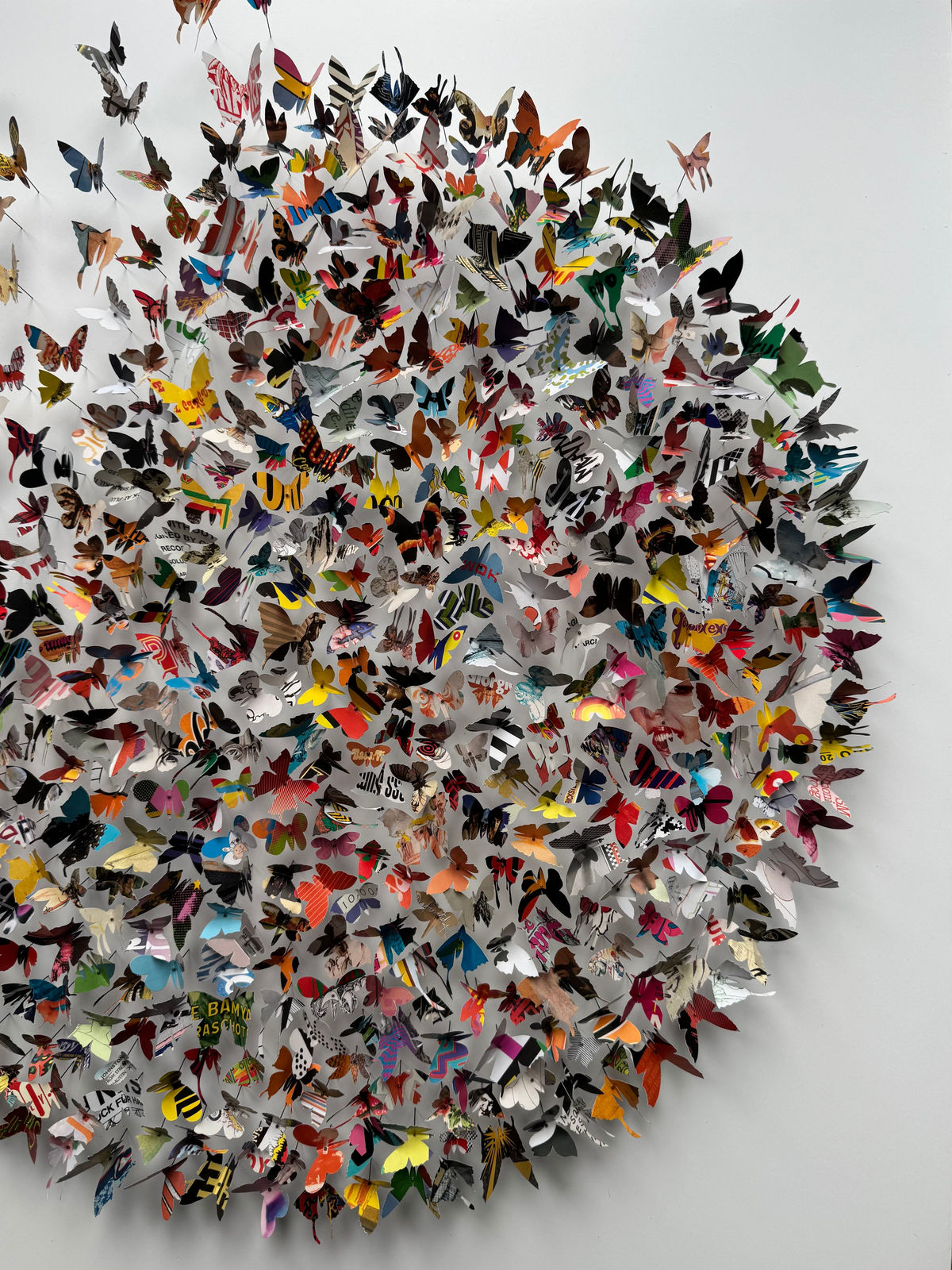 Rebecca J Coles, Albums XI