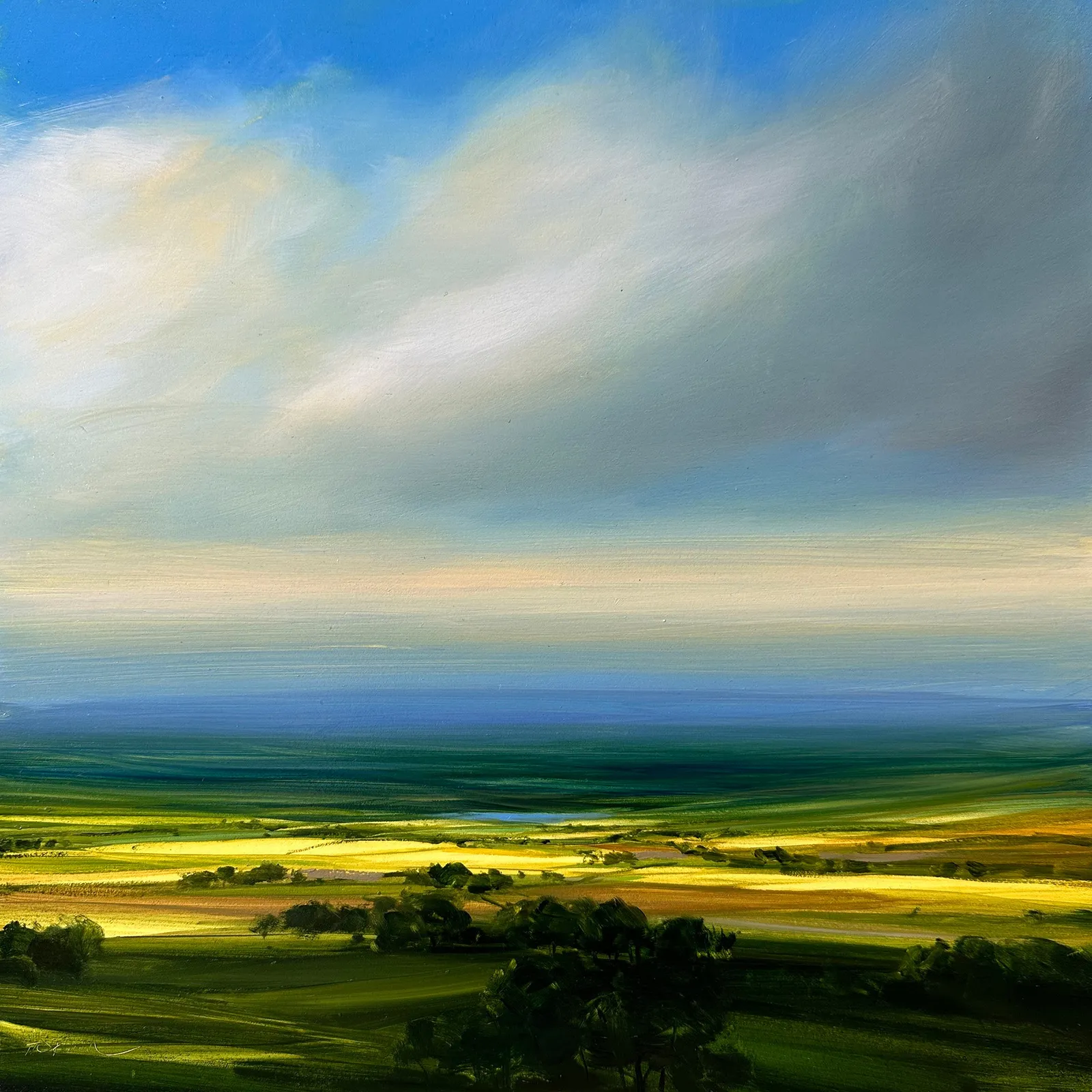 Harry Brioche, Harvest Sun