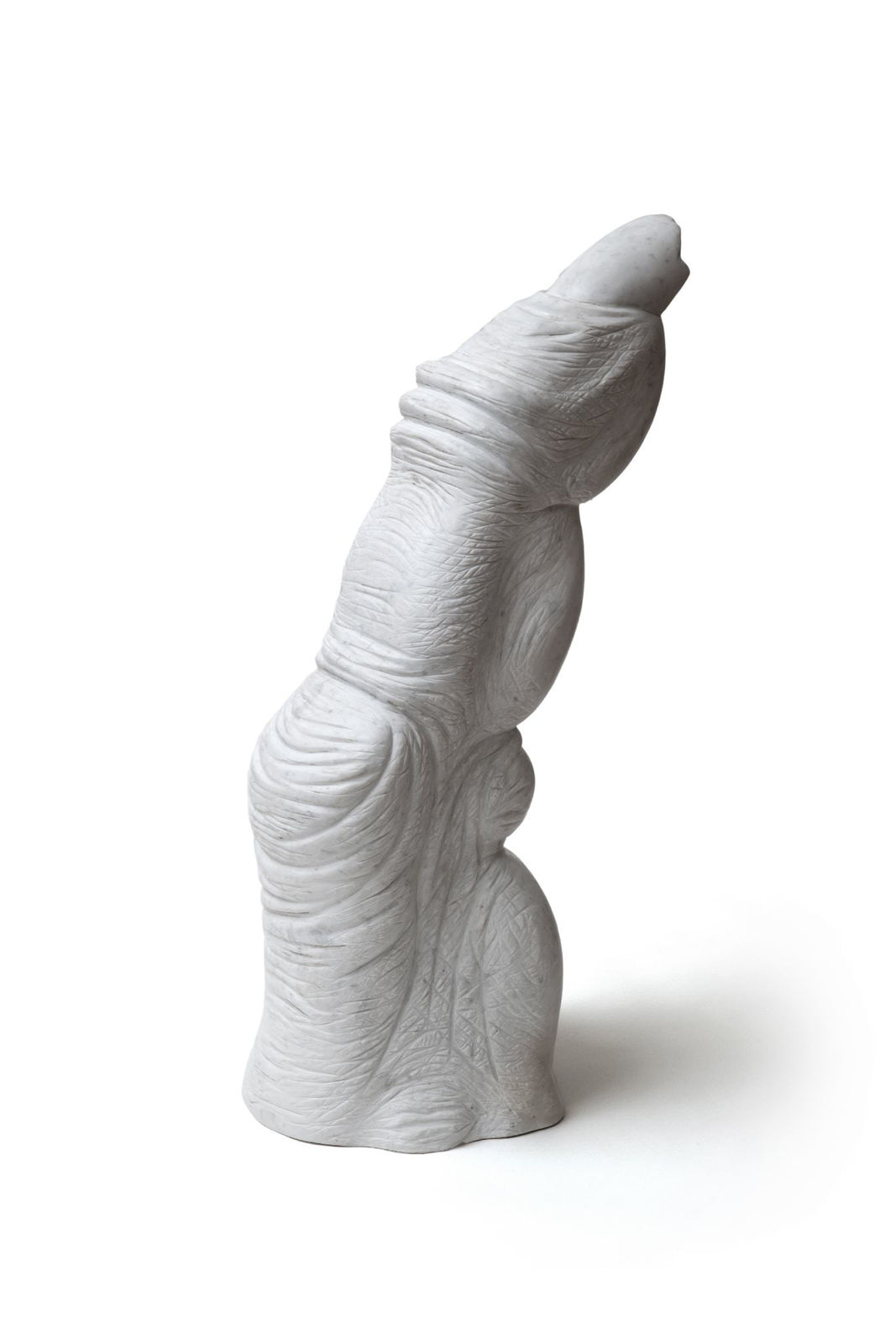 Lisa Roet, Ape Index Finger, 2018