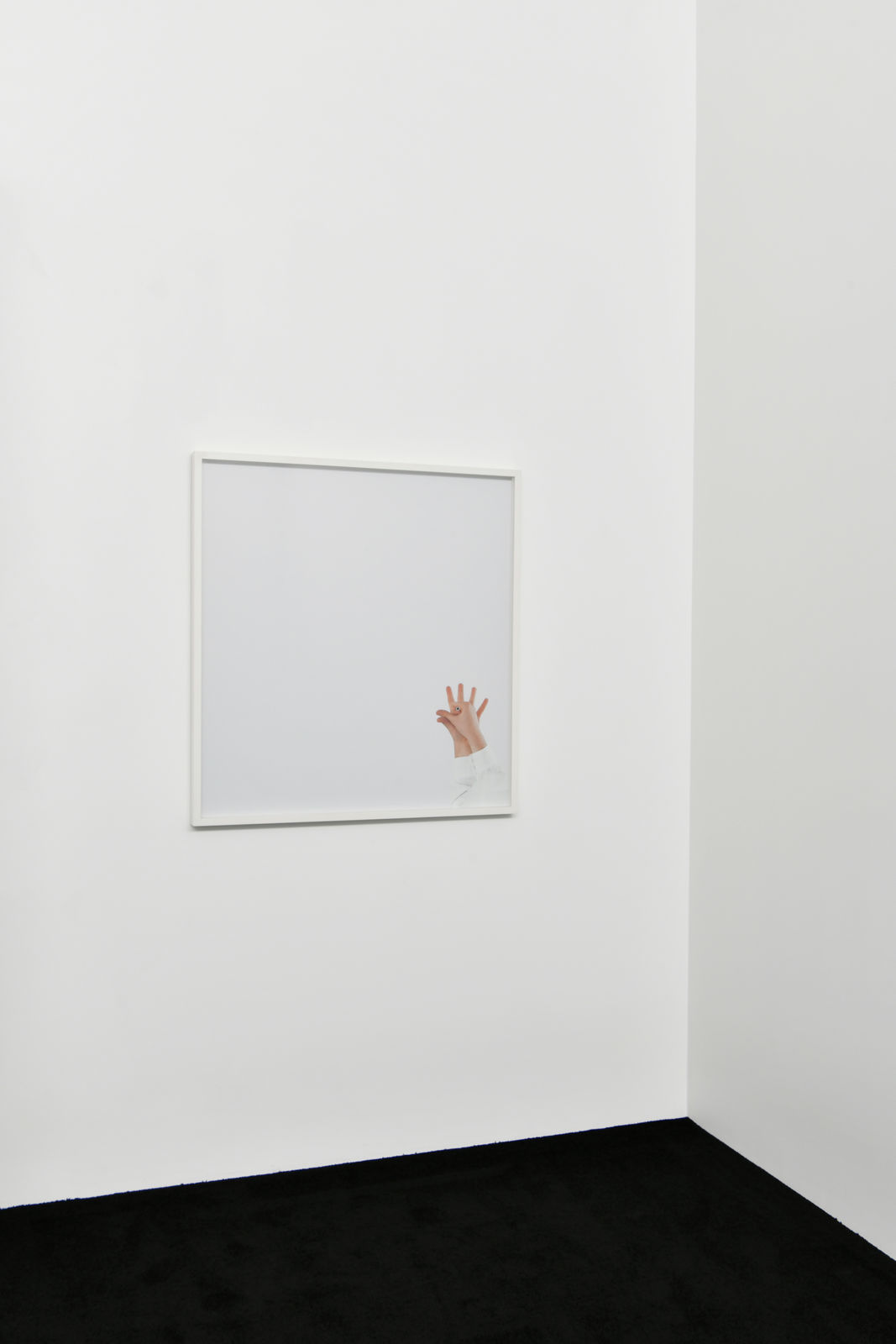 Steve Carr, Cock, 2005