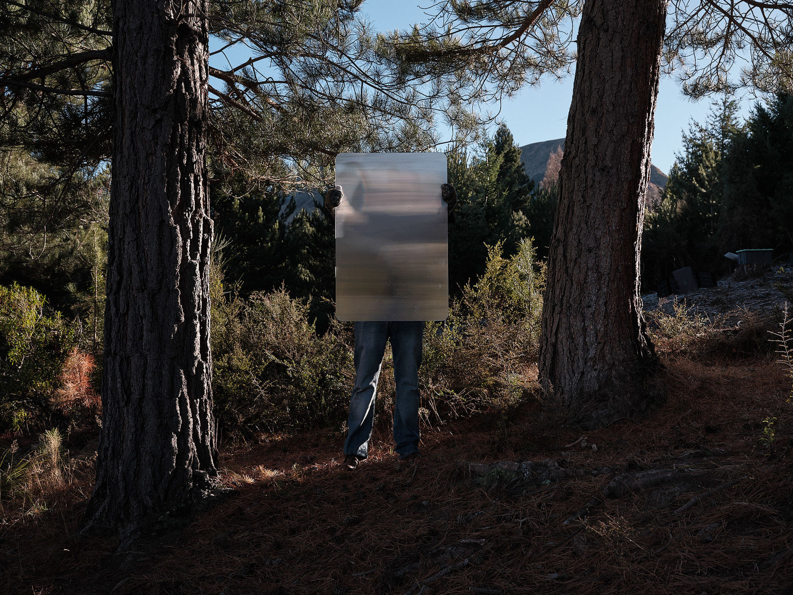 Steve Carr, Invisibility Shields 3, 2025