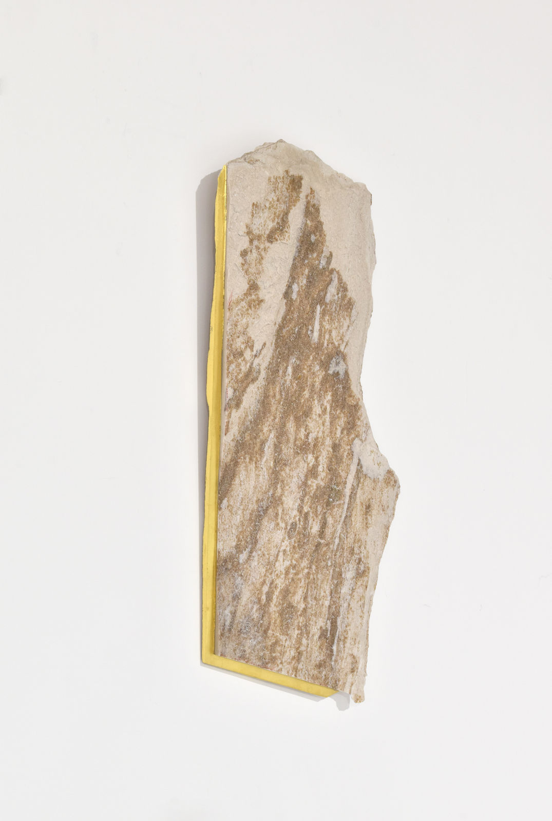 Mattia Bosco, SA 81, 2024