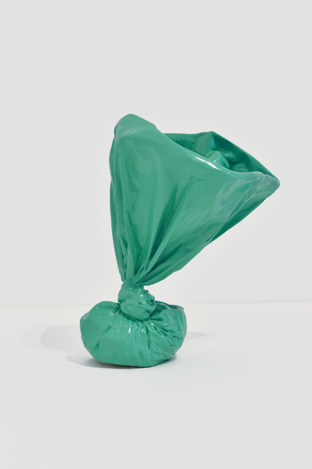 Steve Carr, Doggie Poo Bag, 2025
