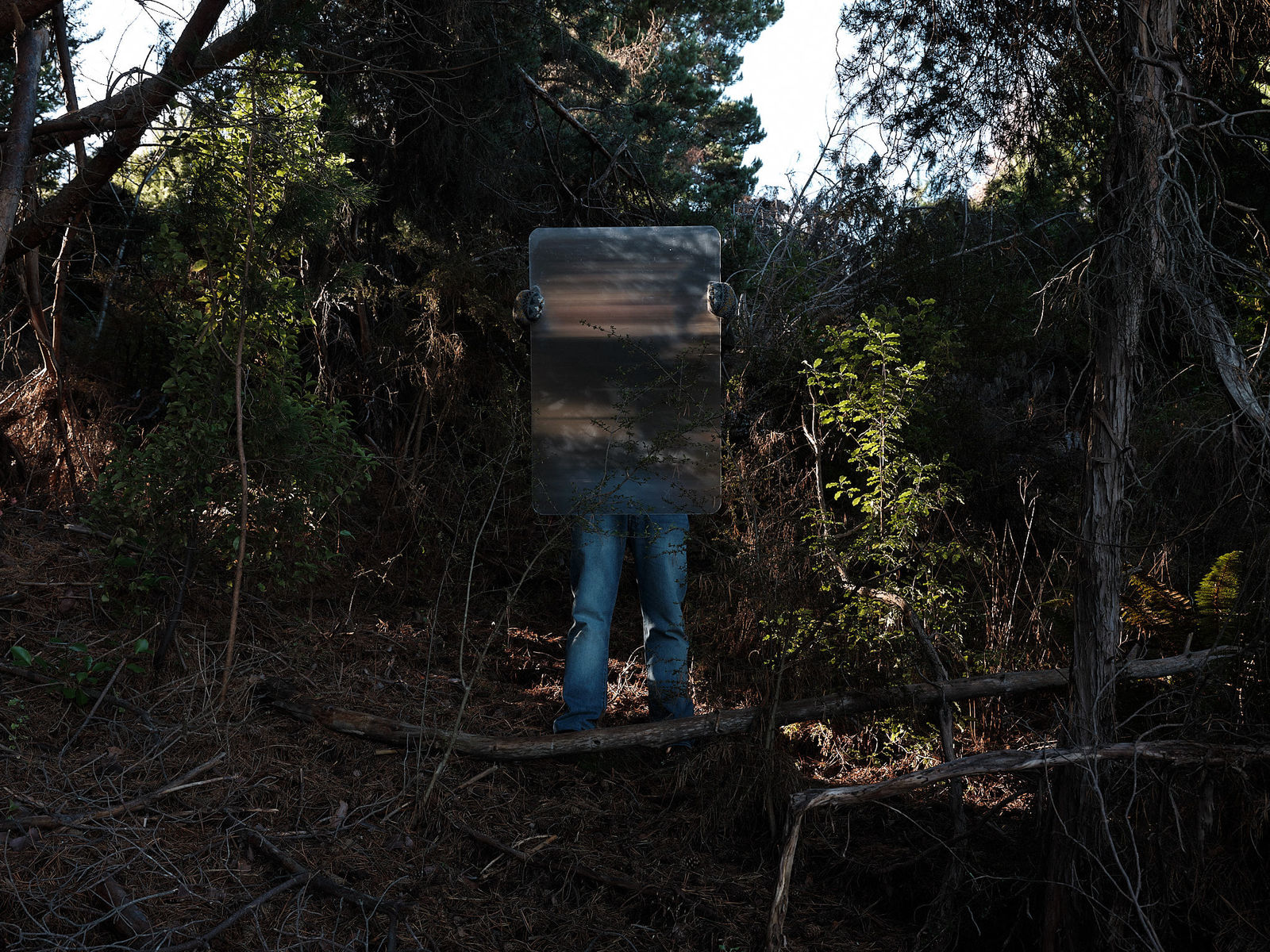 Steve Carr, Invisibility Shields 5, 2025