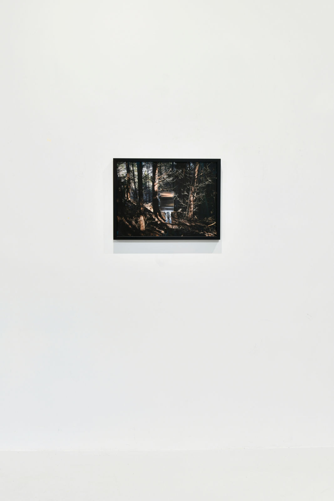 Steve Carr, Invisibility Shields 6, 2025