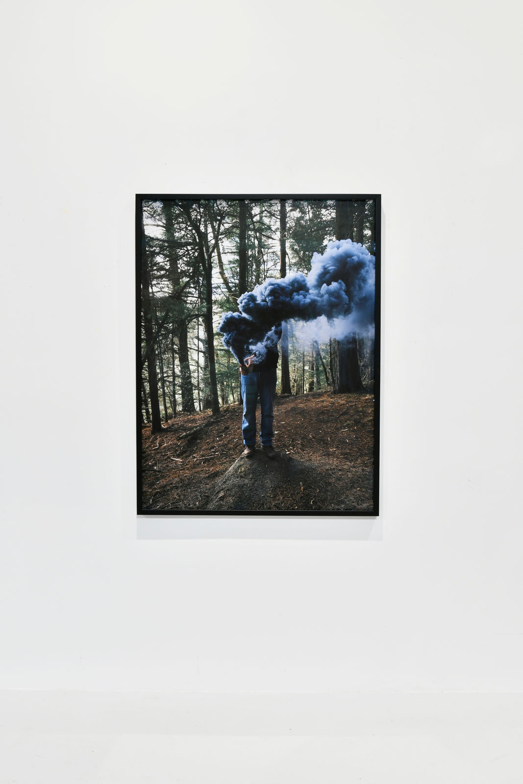 Steve Carr, Smoke Clouds 1, 2025