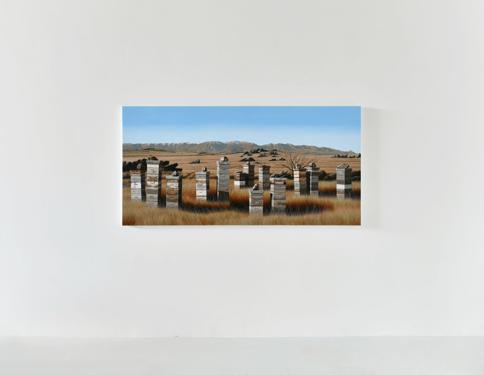 Michael Hight, White Sow Valley, 2025