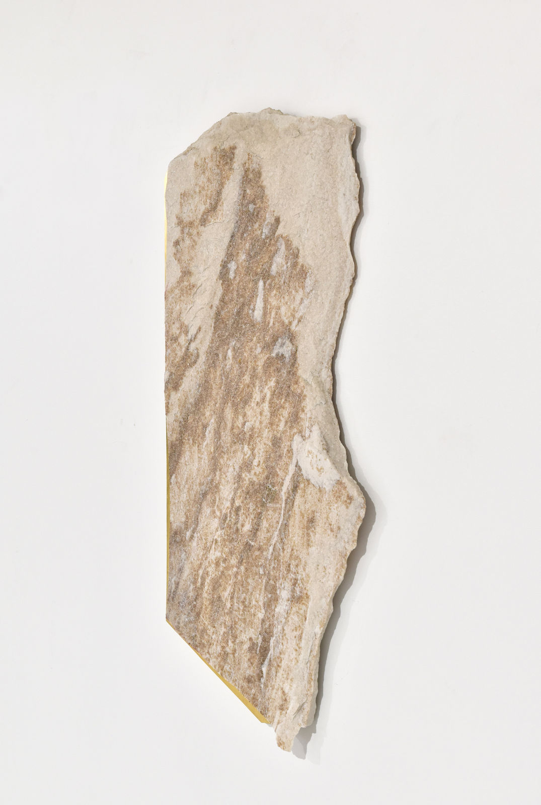 Mattia Bosco, SA 81, 2024