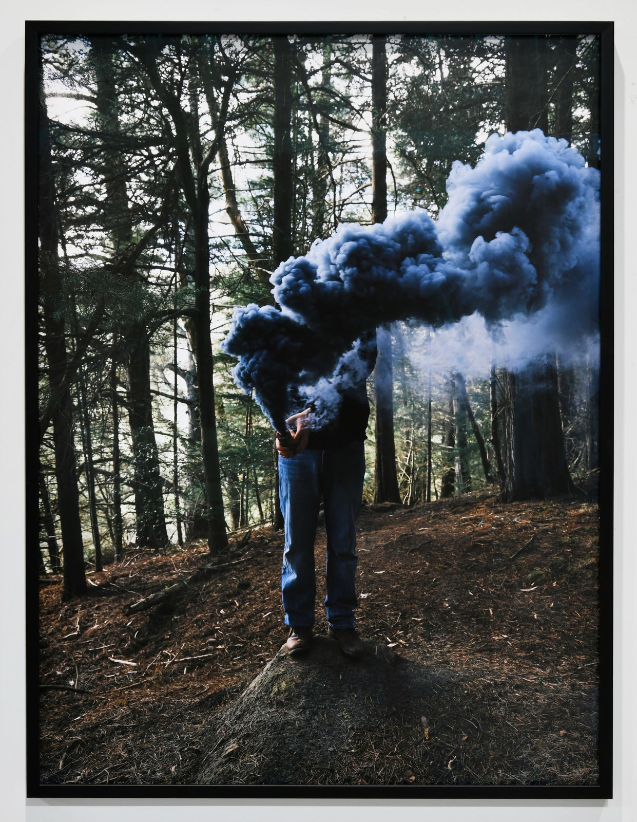 Steve Carr, Smoke Clouds 1, 2025
