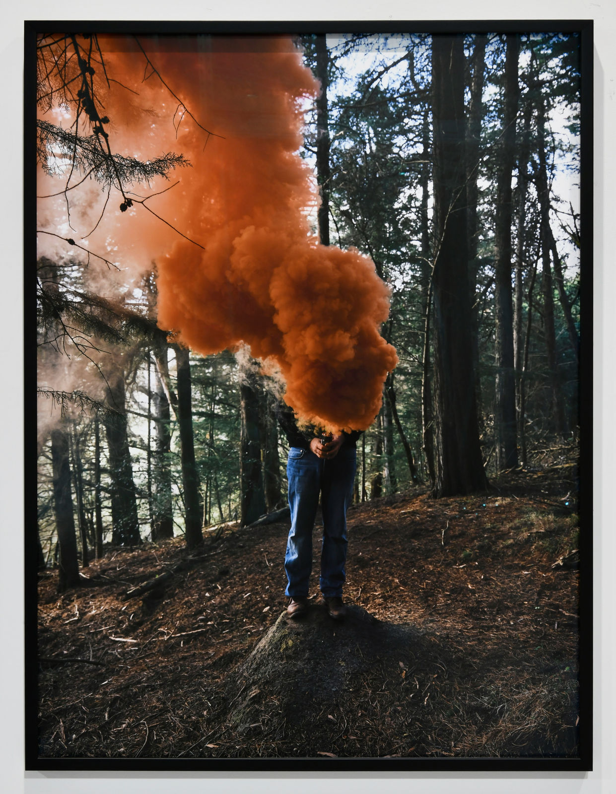 Steve Carr, Smoke Clouds 5, 2025