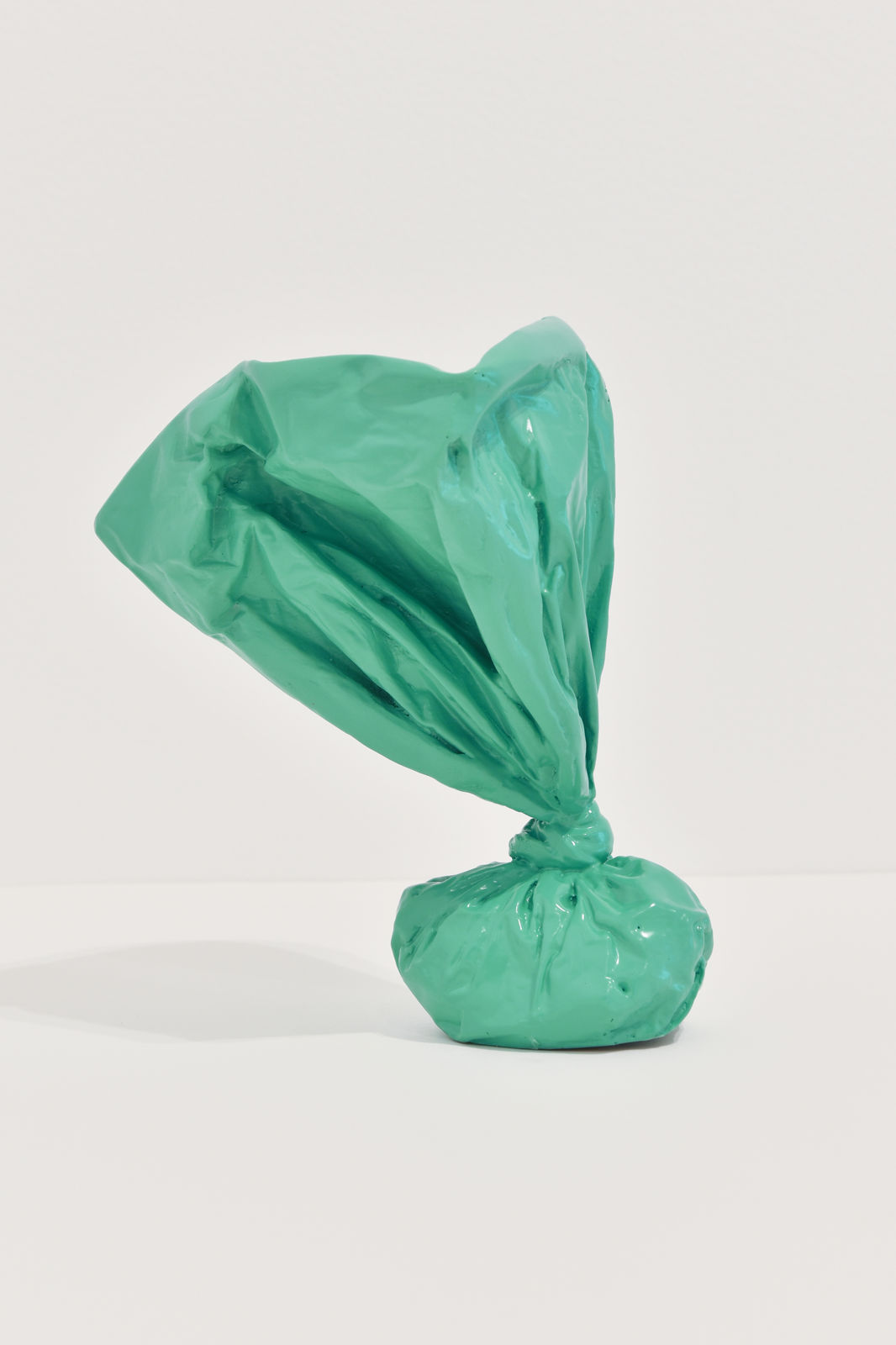Steve Carr, Doggie Poo Bag, 2025