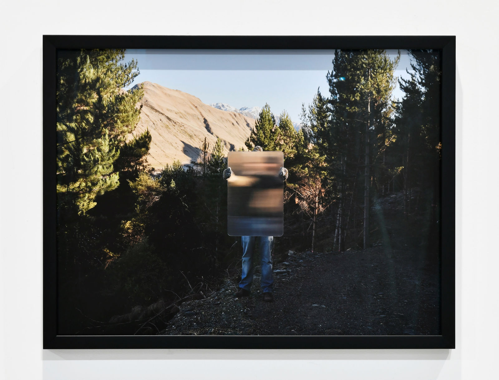 Steve Carr, Invisibility Shields 1, 2025