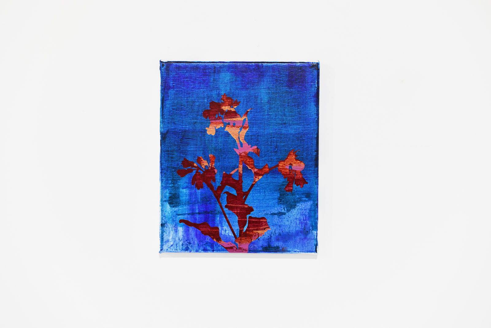 Chris Heaphy, Shout all Our Stories, 2026