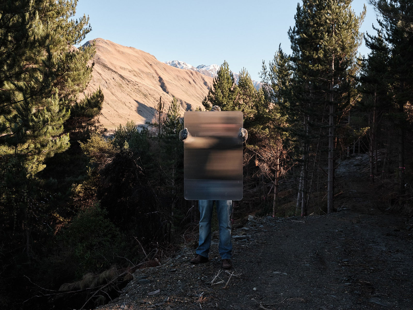 Steve Carr, Invisibility Shields 1, 2025