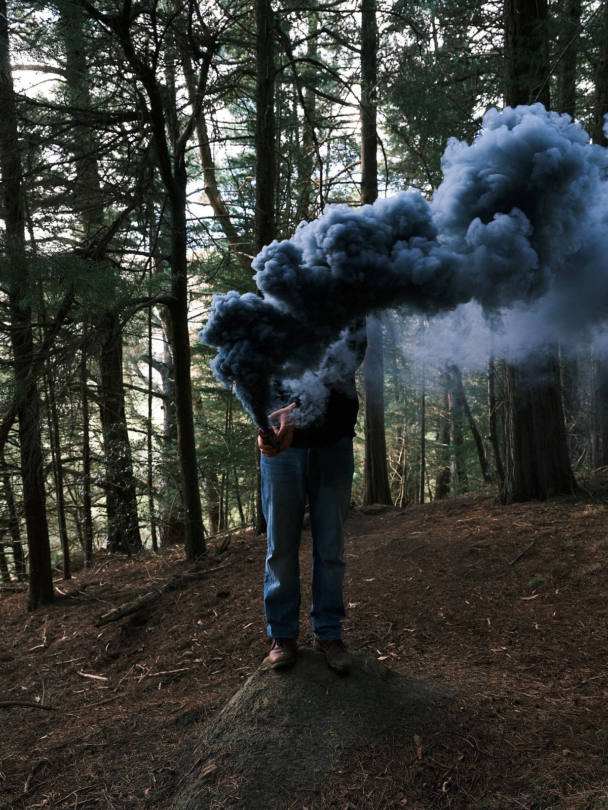 Steve Carr, Smoke Clouds 1, 2025