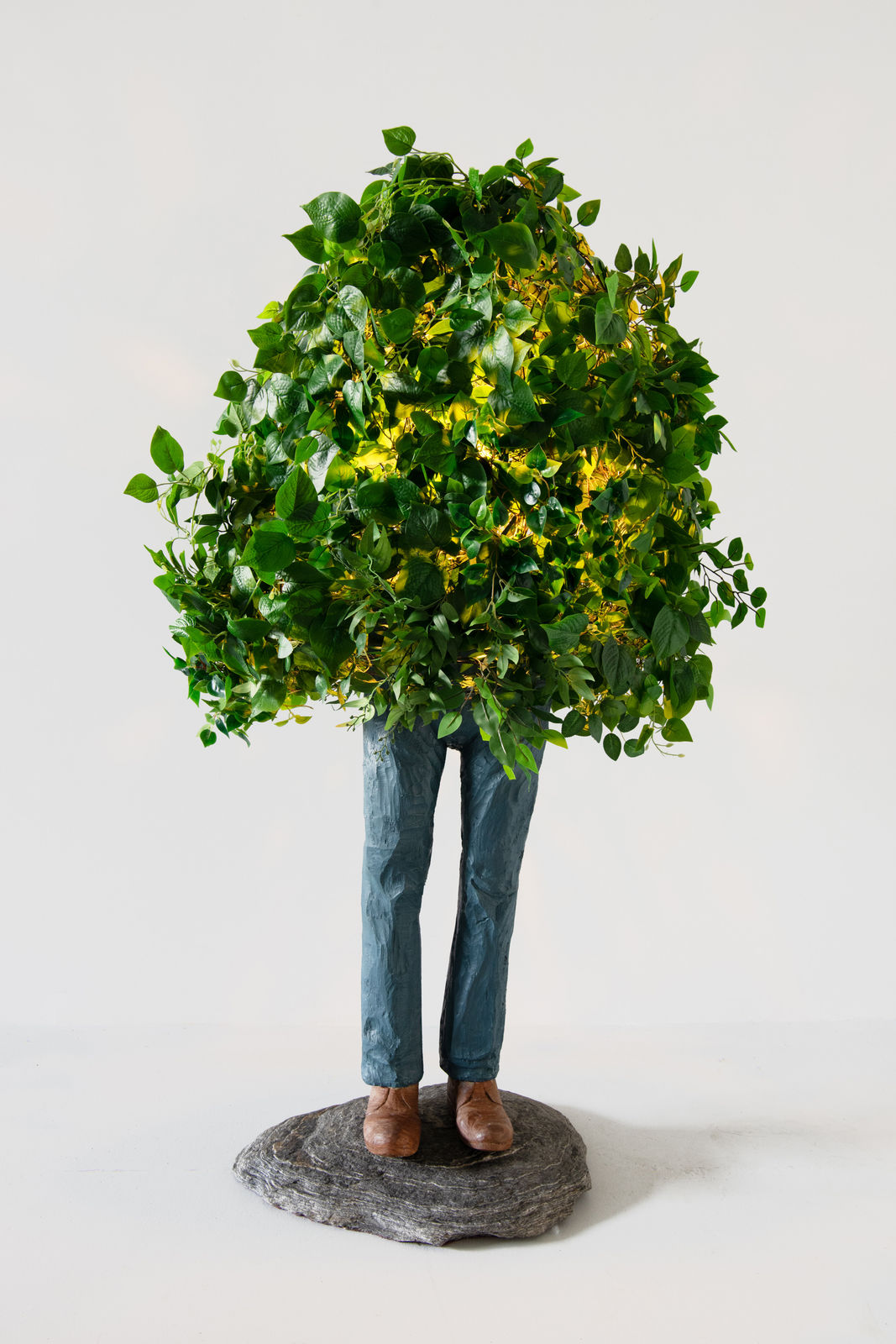 Steve Carr, Bush Lamp, 2025