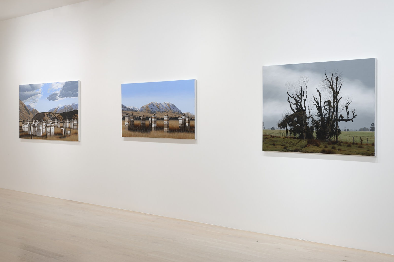 Michael Hight, Cooks Flat Road, Fox Glacier, 2022