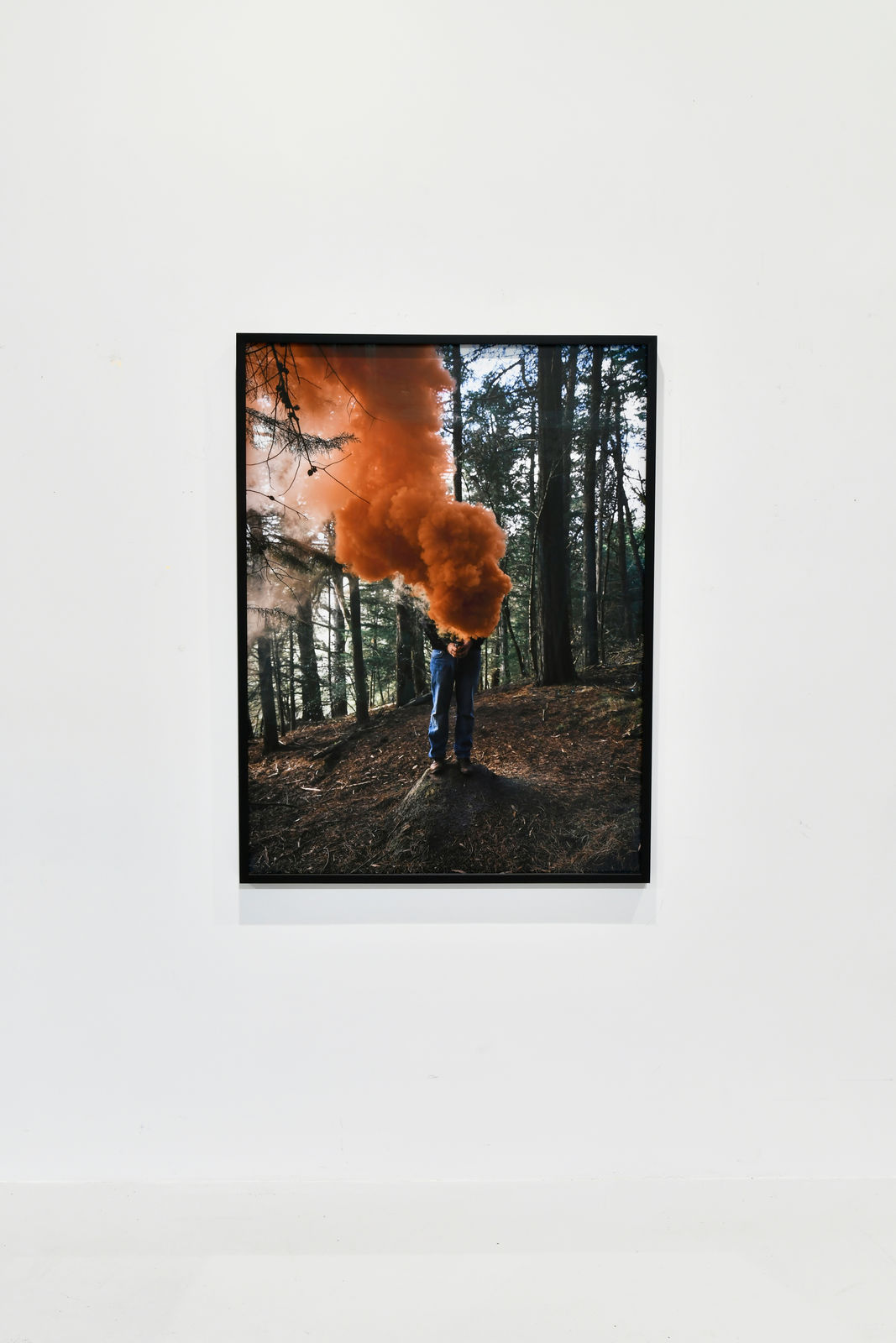 Steve Carr, Smoke Clouds 5, 2025