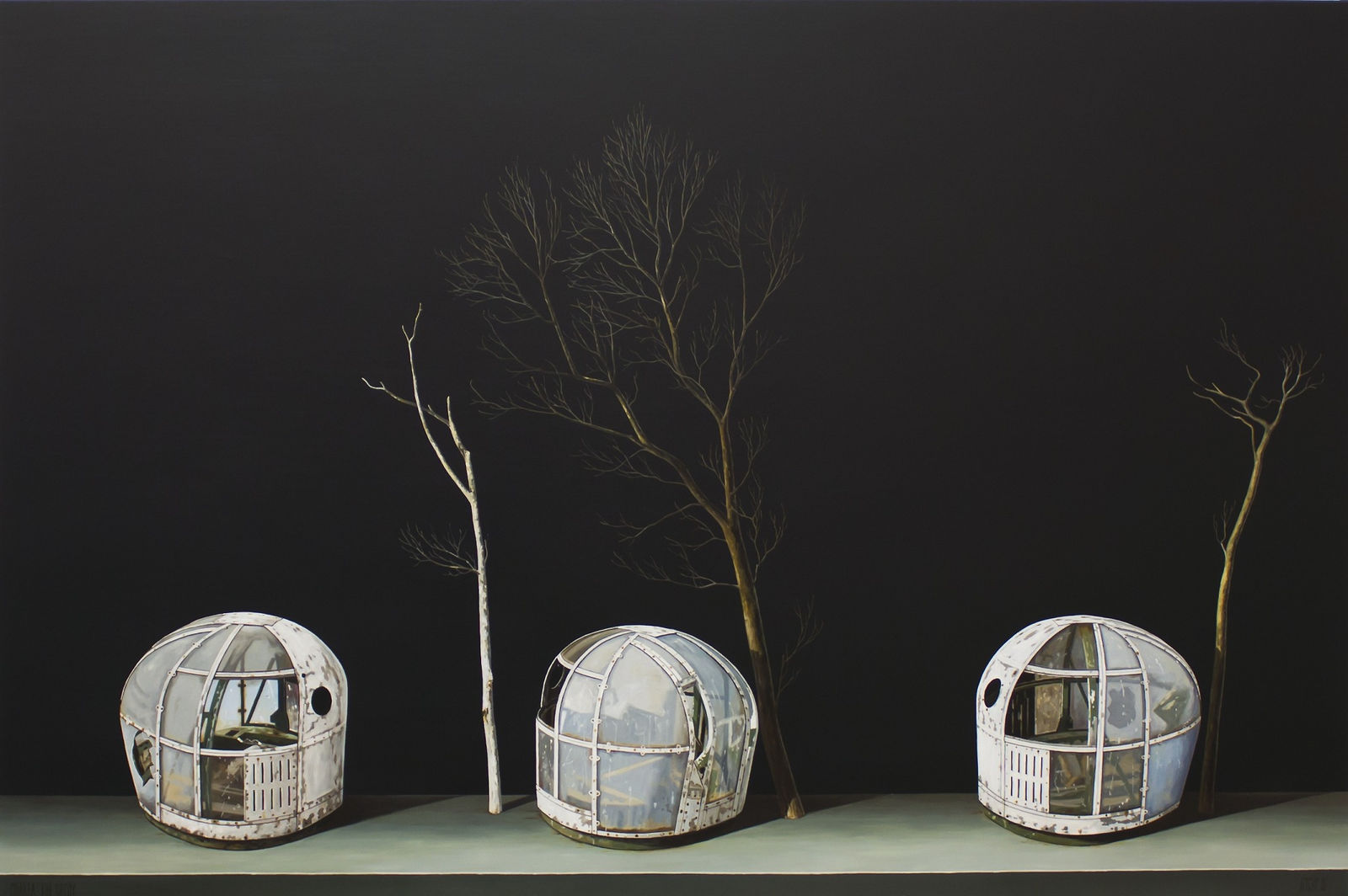 Michael Hight, Ohakea The Decoy, 2016