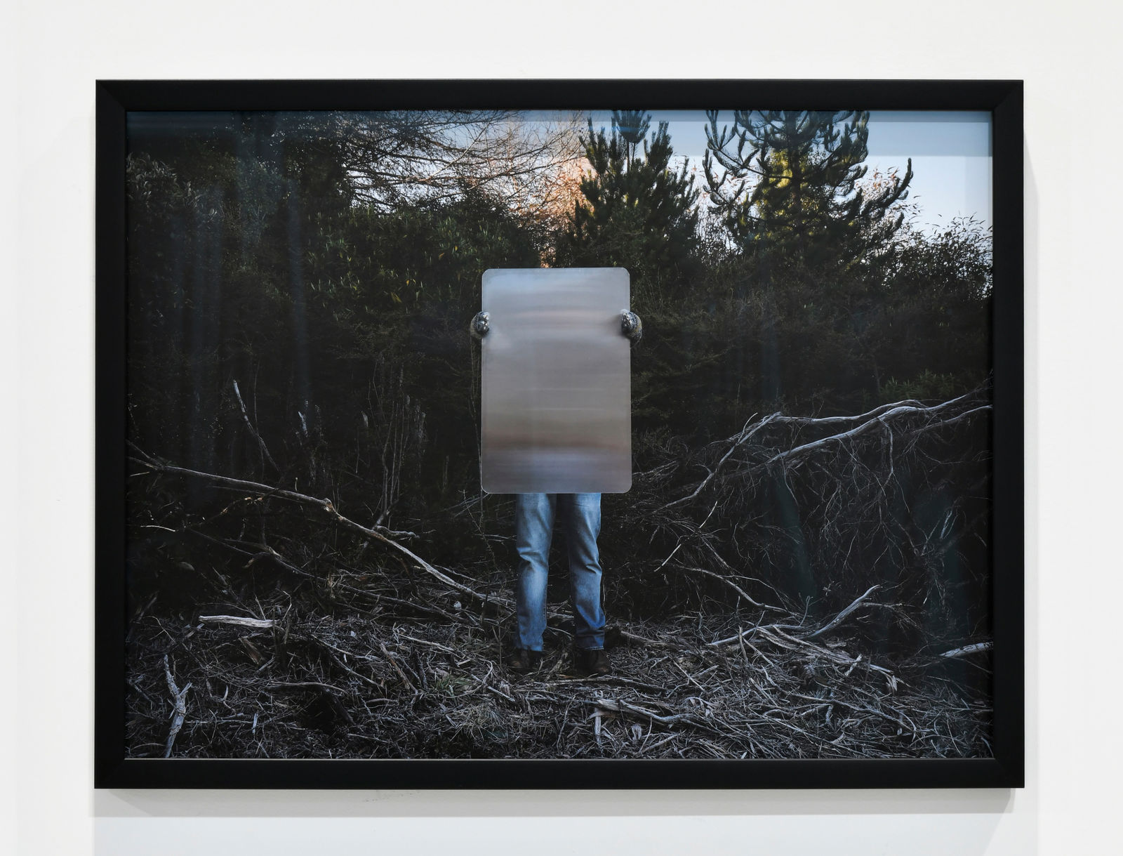 Steve Carr, Invisibility Shields 2, 2025