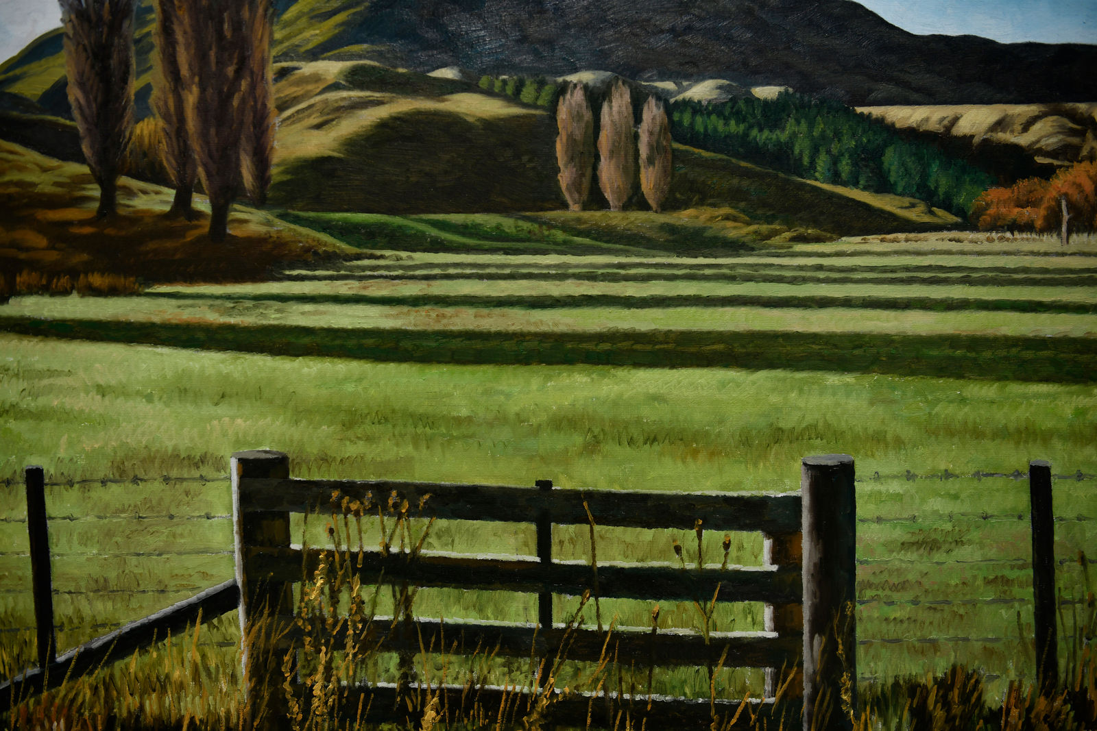 Dick Frizzell, Gate, 2025