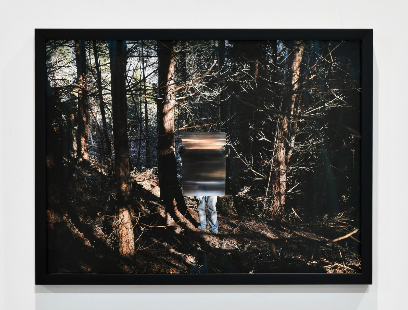 Steve Carr, Invisibility Shields 6, 2025