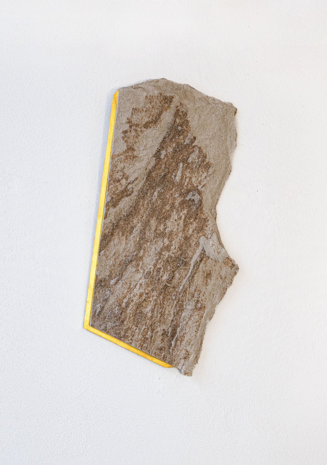 Mattia Bosco, SA 81, 2024