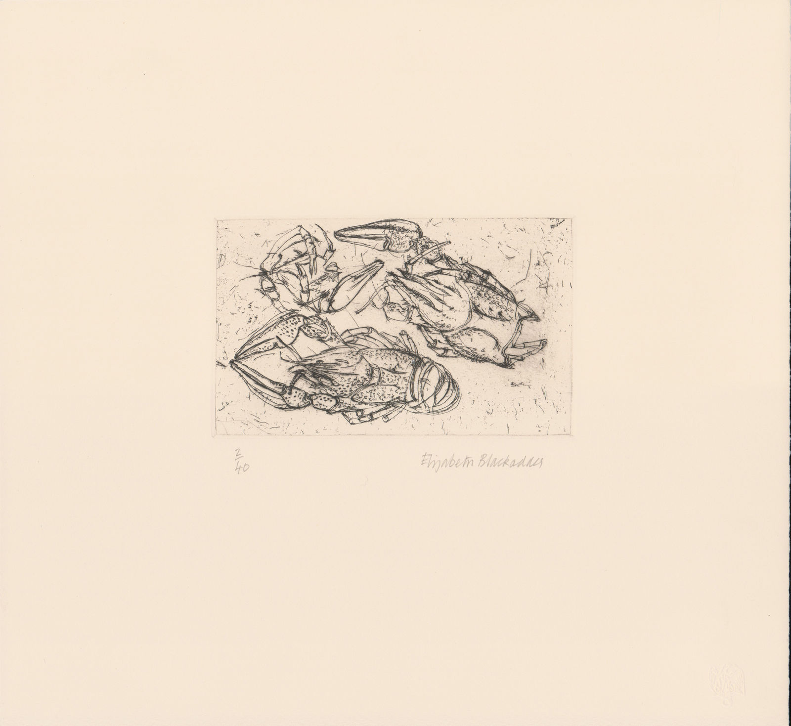 Elizabeth Blackadder, Munida Rugosa, 2013