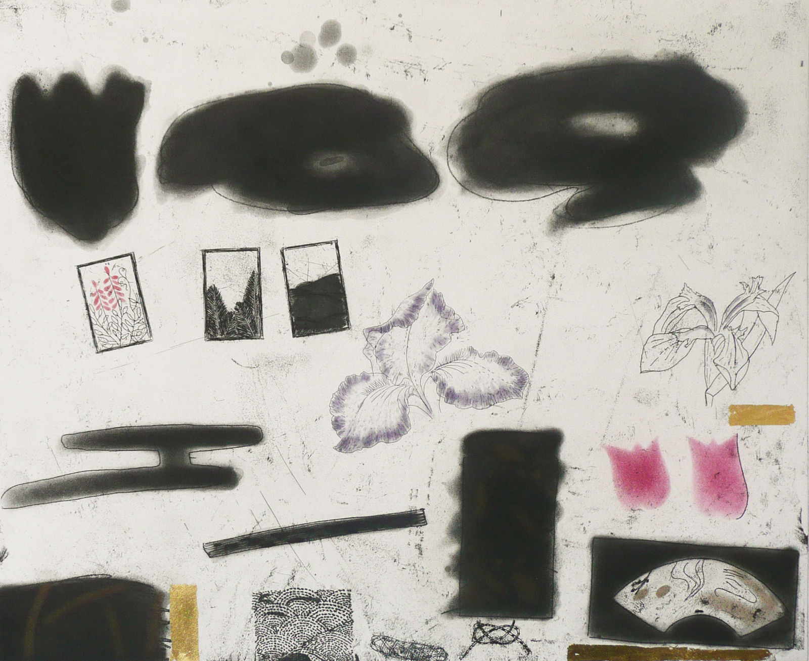 Elizabeth Blackadder, Still Life with Iris, 1988