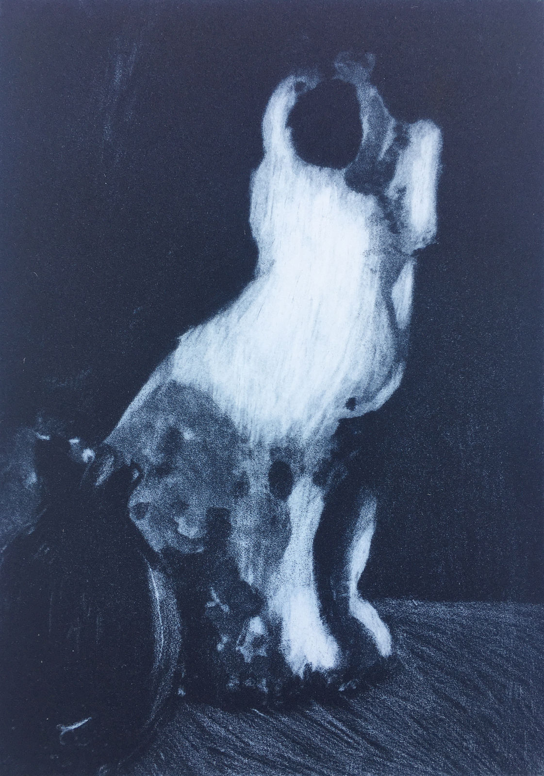 Alistair Gow, Held, 2022