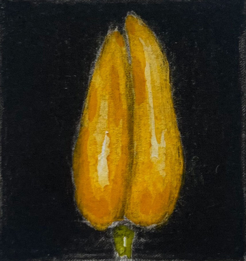 Martin Napier, Tulip I
