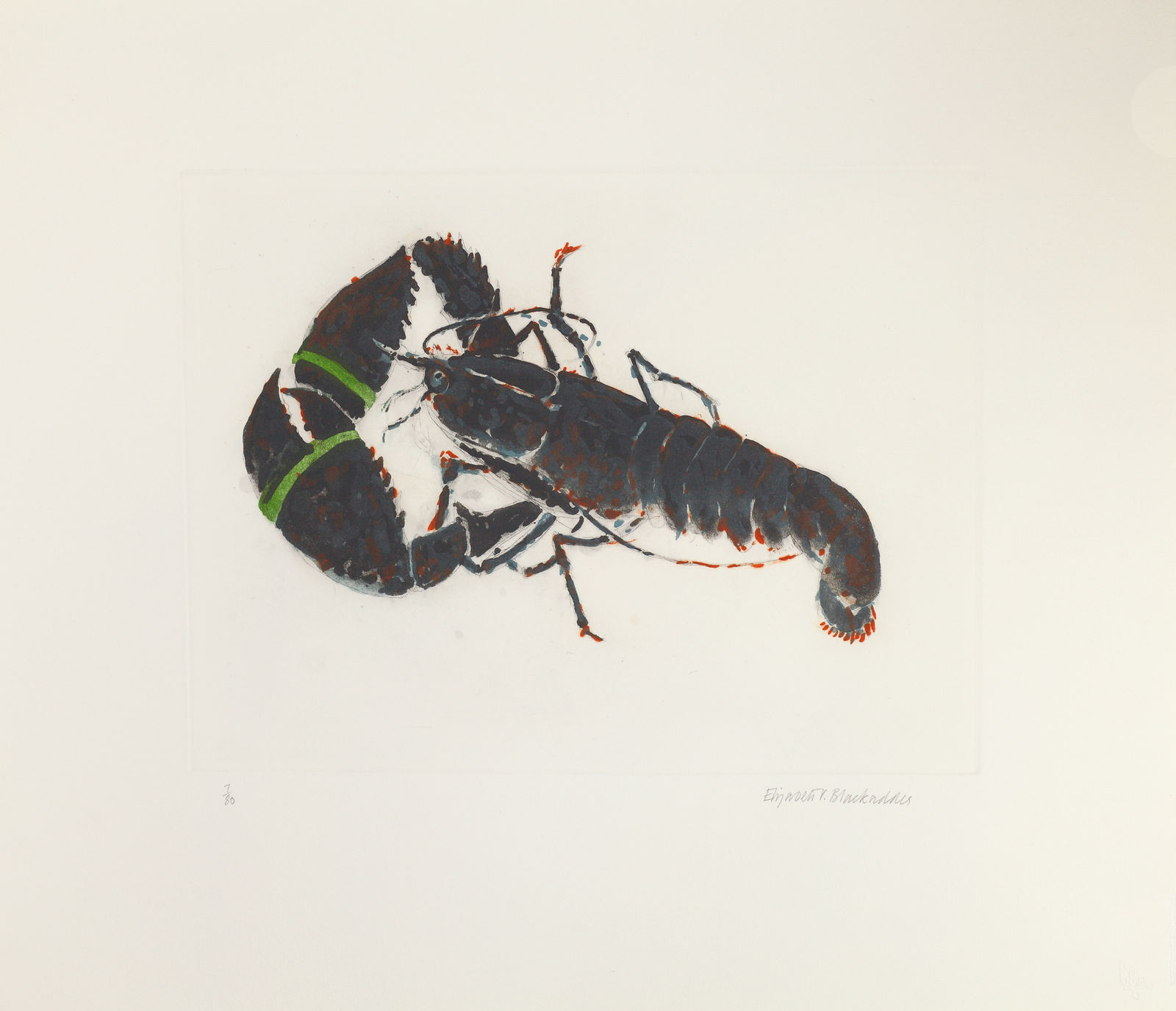 Elizabeth Blackadder, Lobster, 2009