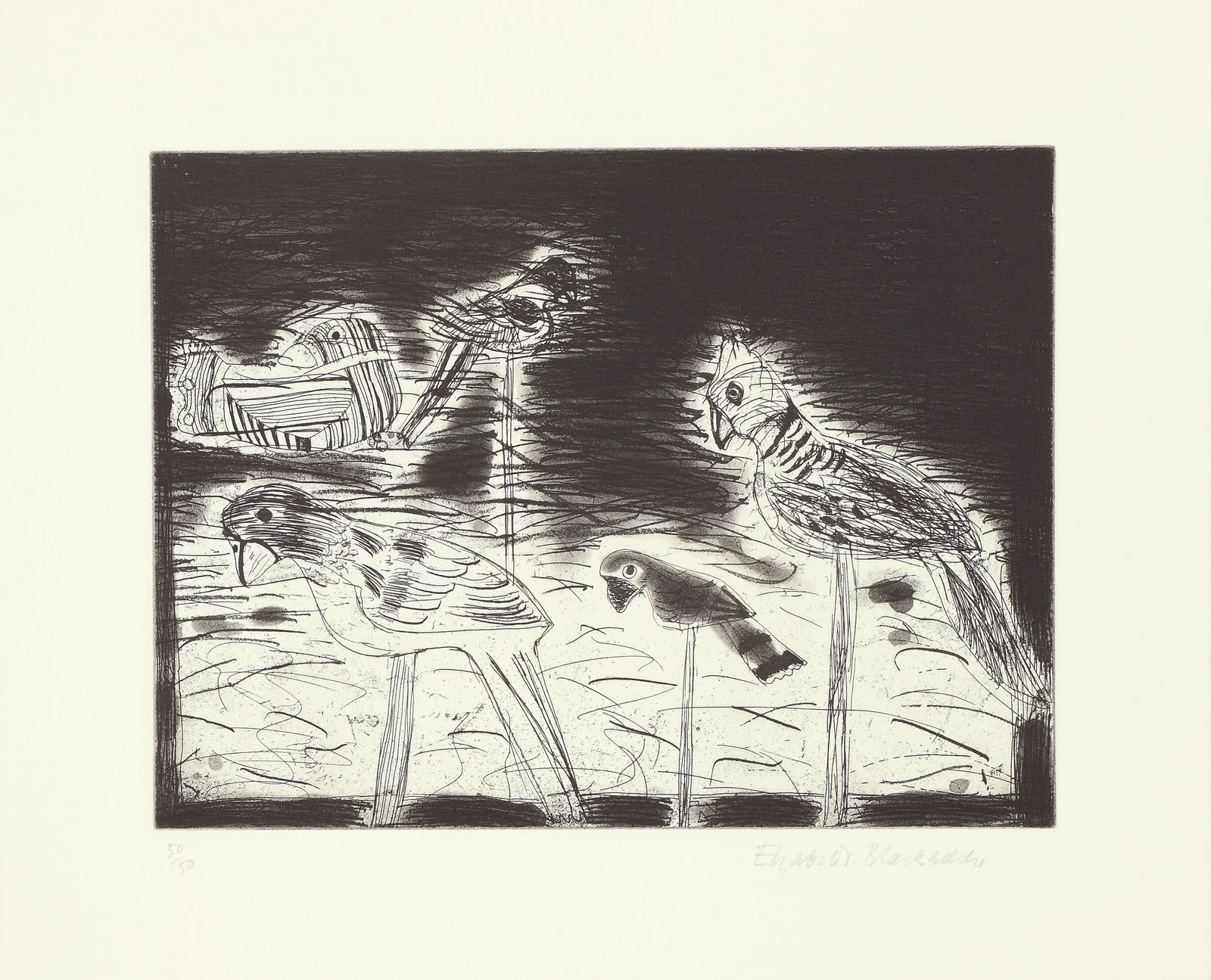 Elizabeth Blackadder, Parrots, 1987