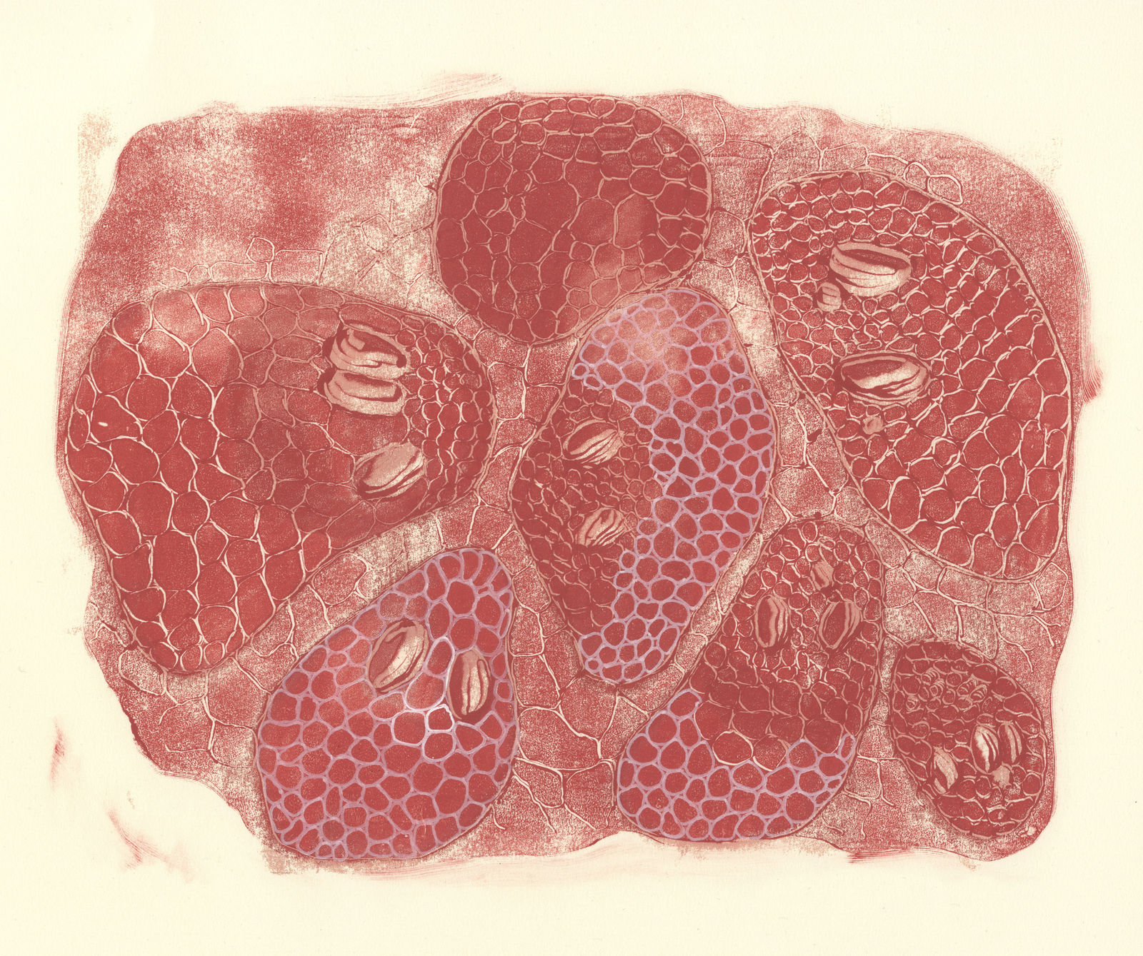 Hanne Lillee, Untitled (Breeders IX), 2021