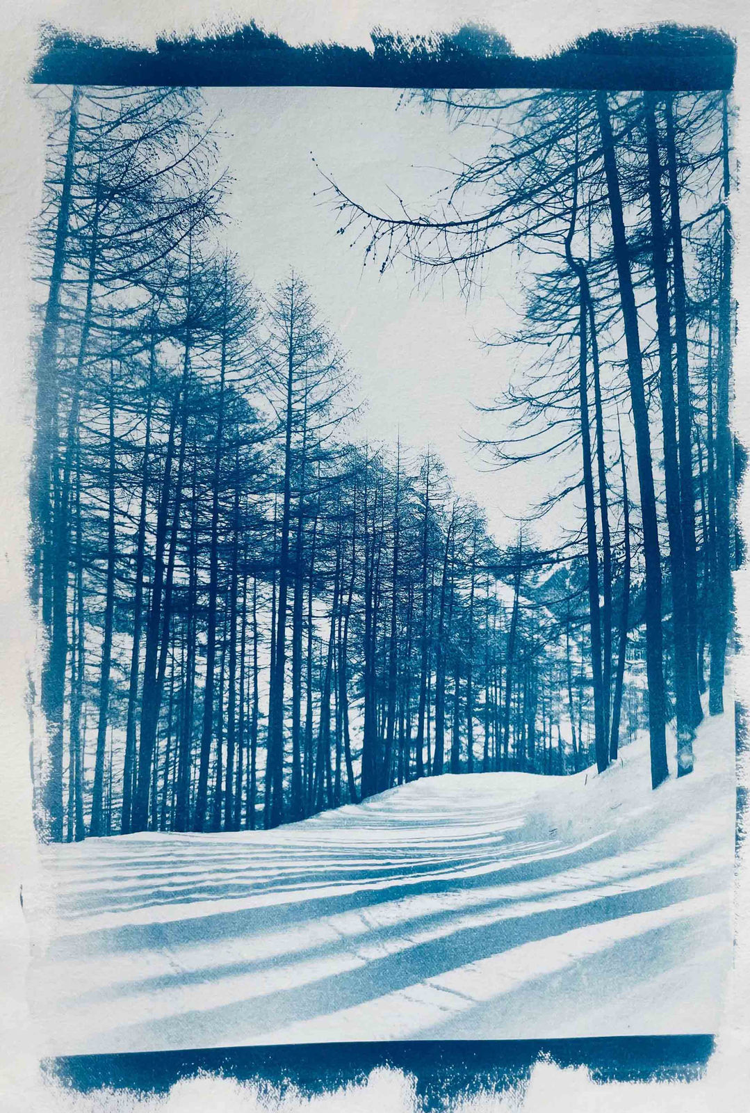 Georgia Merton, La Daille