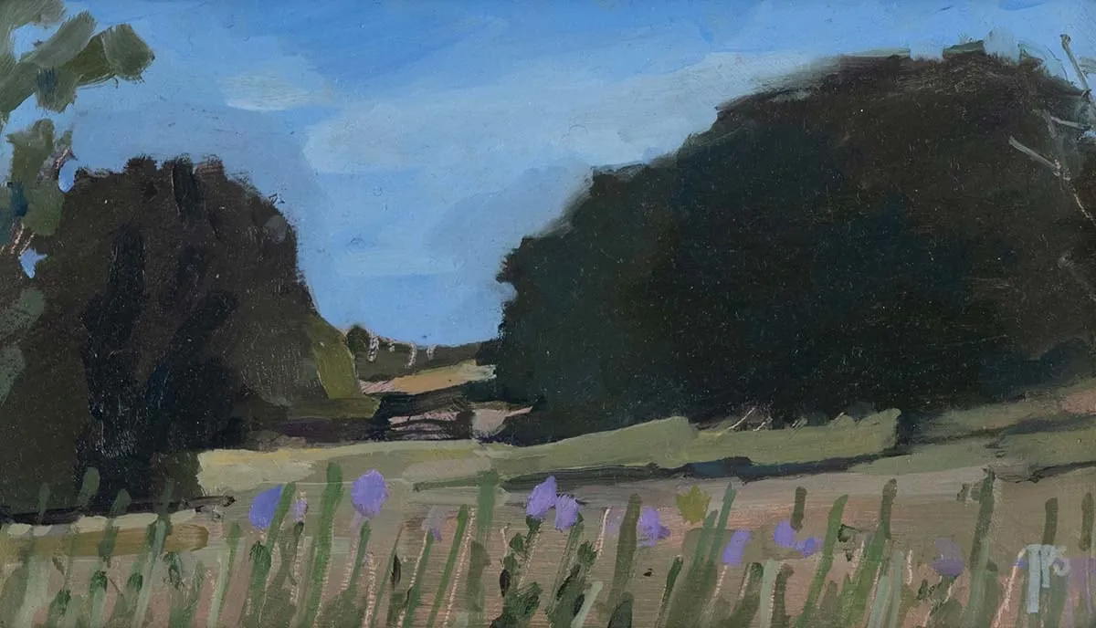 Tom Stevenson, The Long Meadow