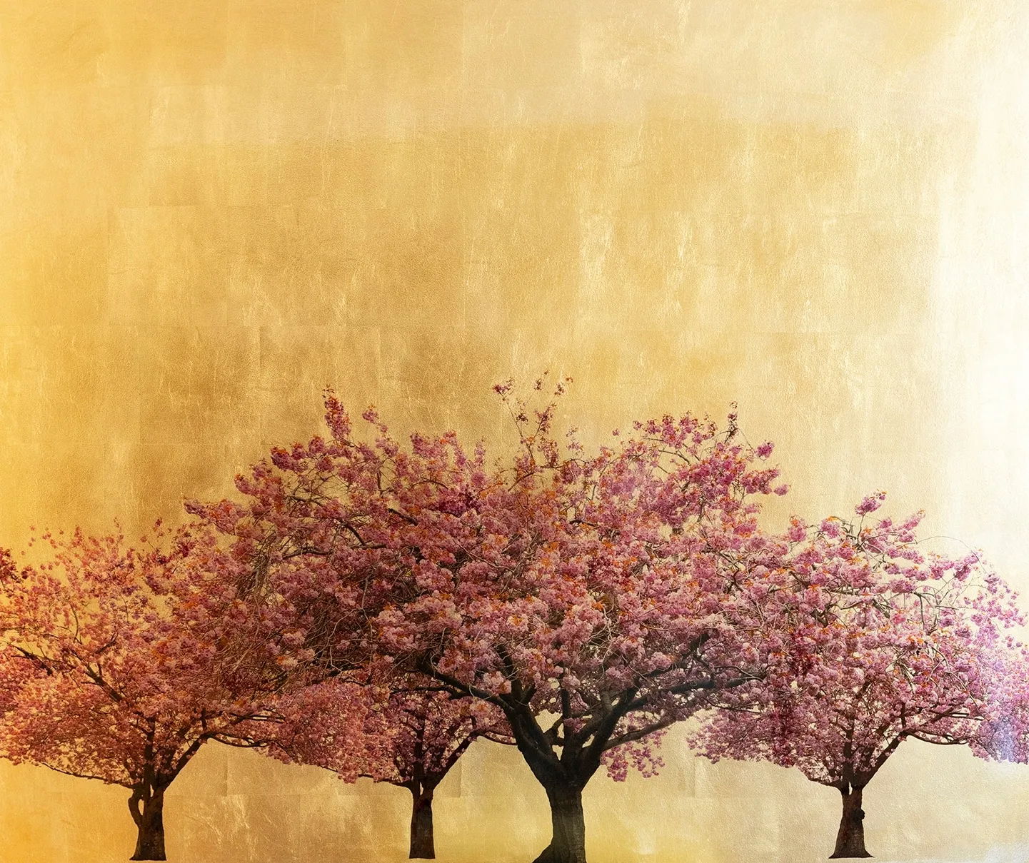 Robert Pereira Hind, Prunus Serrulata XIV