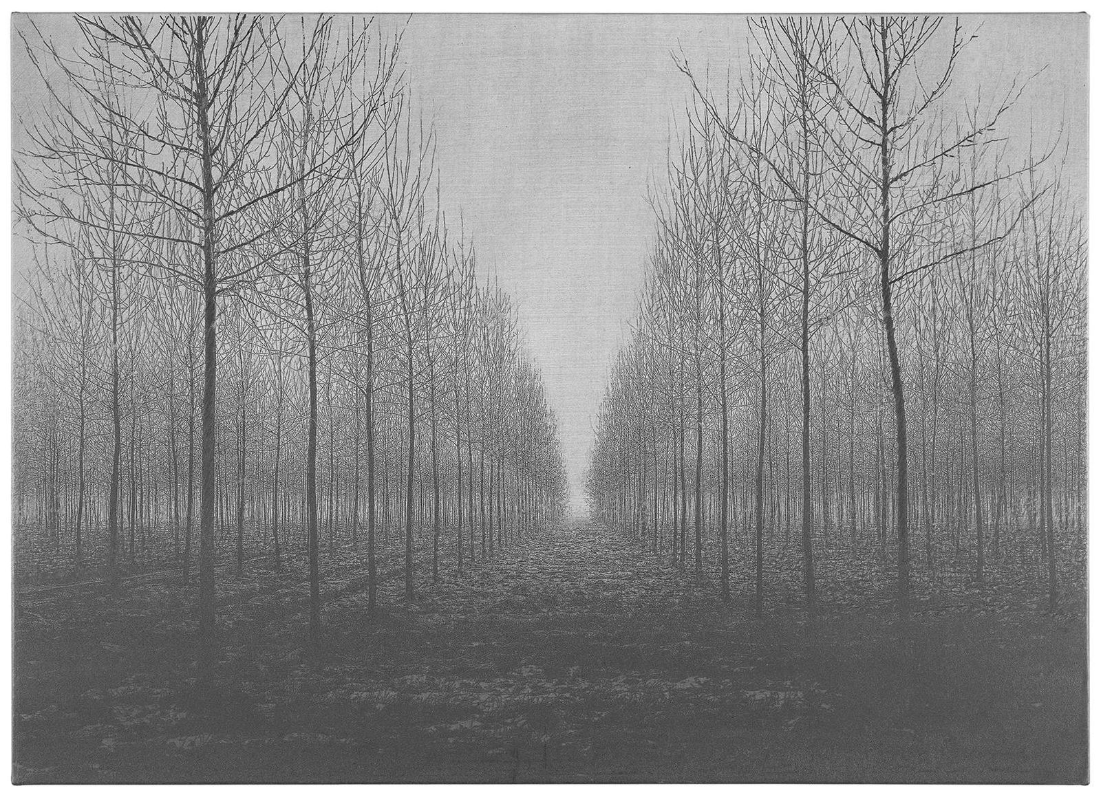 Danja Akulin , 15, 2015