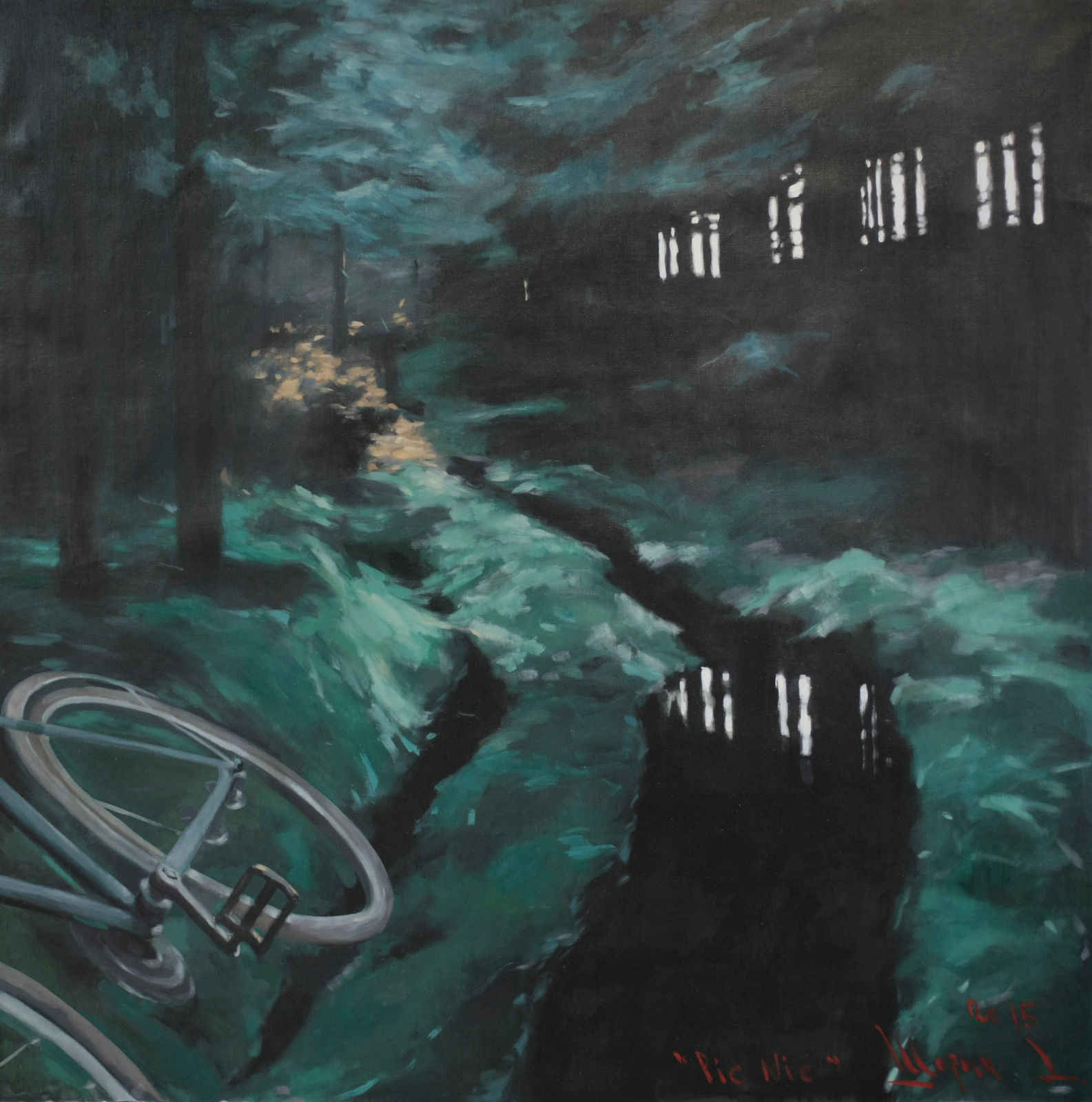 Дмитрий Шорин, PIC NIC, 2015