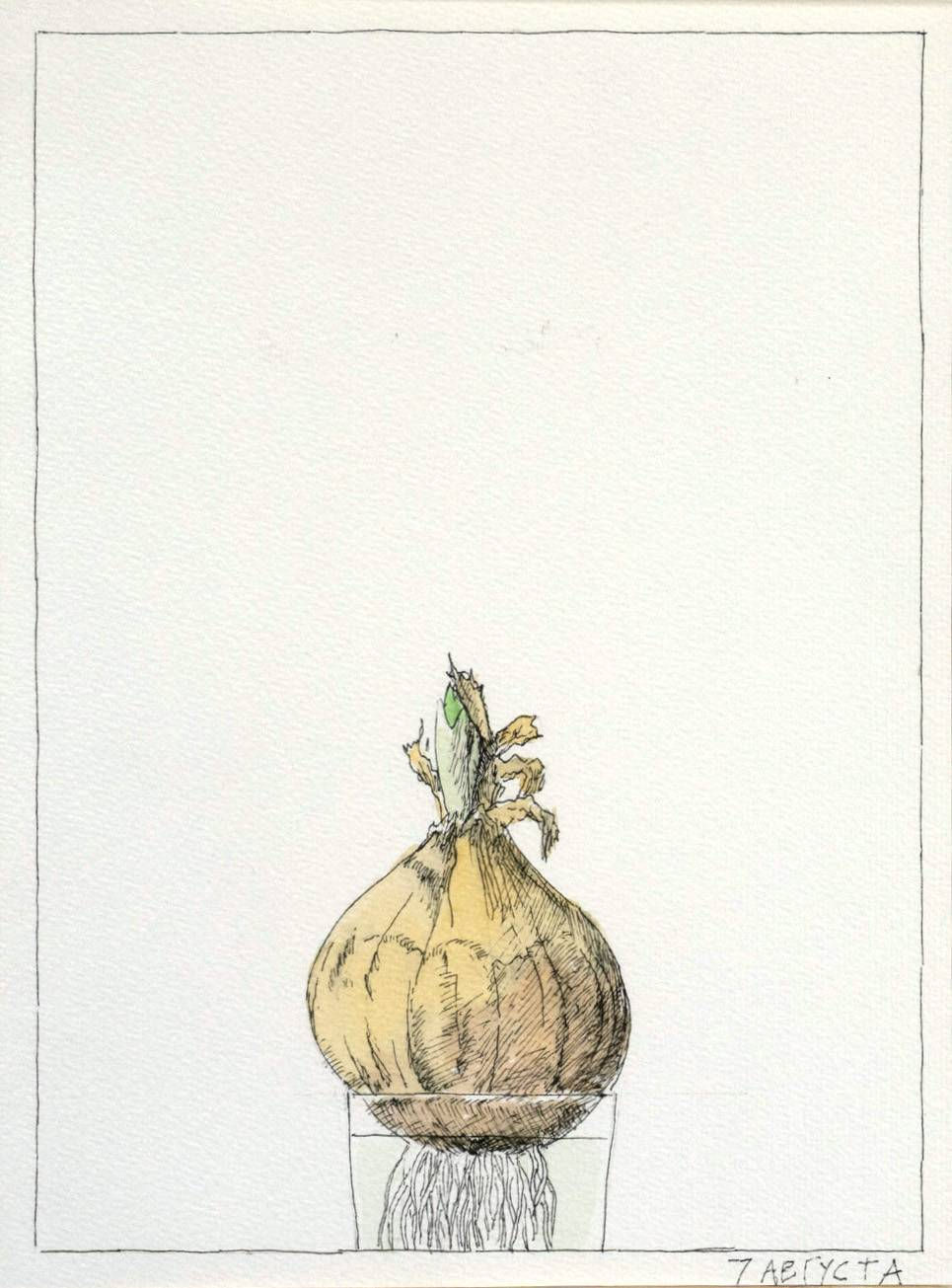 Nikita Alekseev, DAYS AND LABORS OF ONIONS (series of works) • ДНИ И ТРУДЫ РЕПЧАТОГО ЛУКА (серия работ), 2012