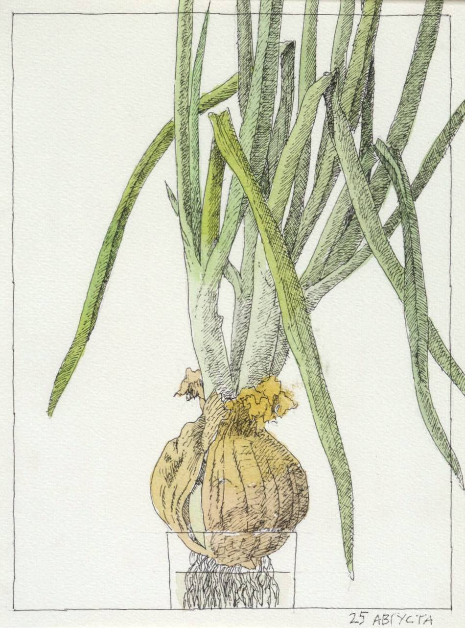 Nikita Alekseev, DAYS AND LABORS OF ONIONS (series of works) • ДНИ И ТРУДЫ РЕПЧАТОГО ЛУКА (серия работ), 2012