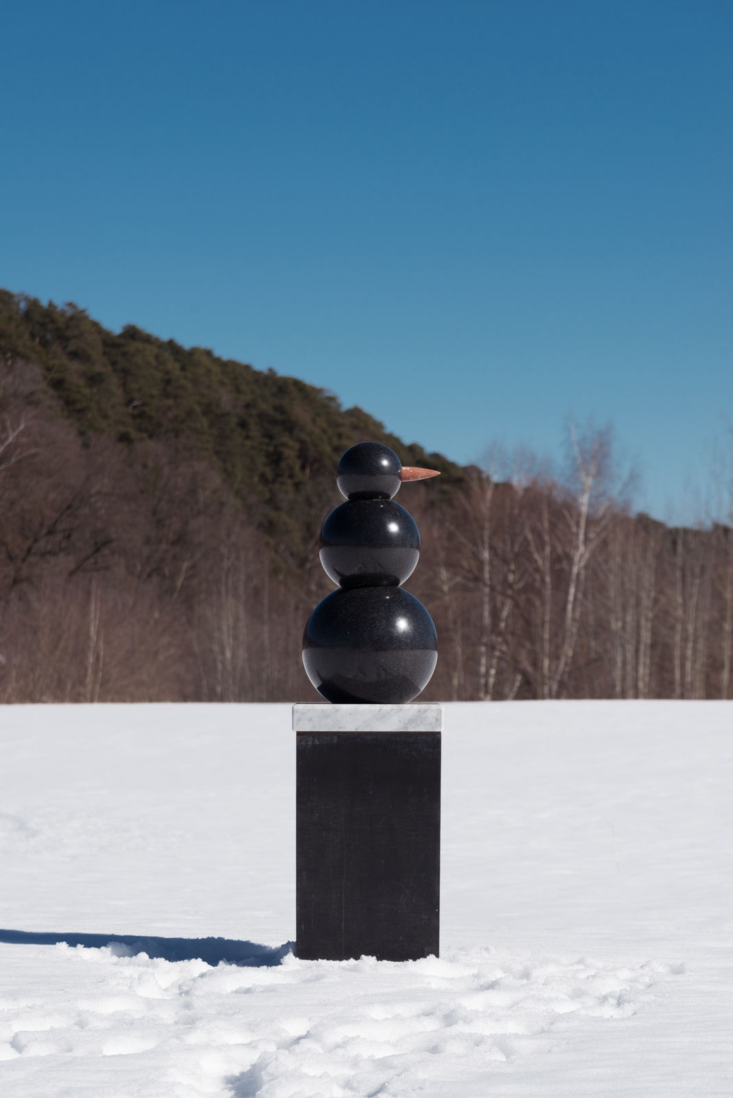 Katerina Kovaleva, BSM. BLACK SNOW MATTERS • ЧЕРНЫЙ СНЕГ ИМЕЕТ ЗНАЧЕНИЕ , 2019